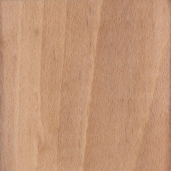 Beech