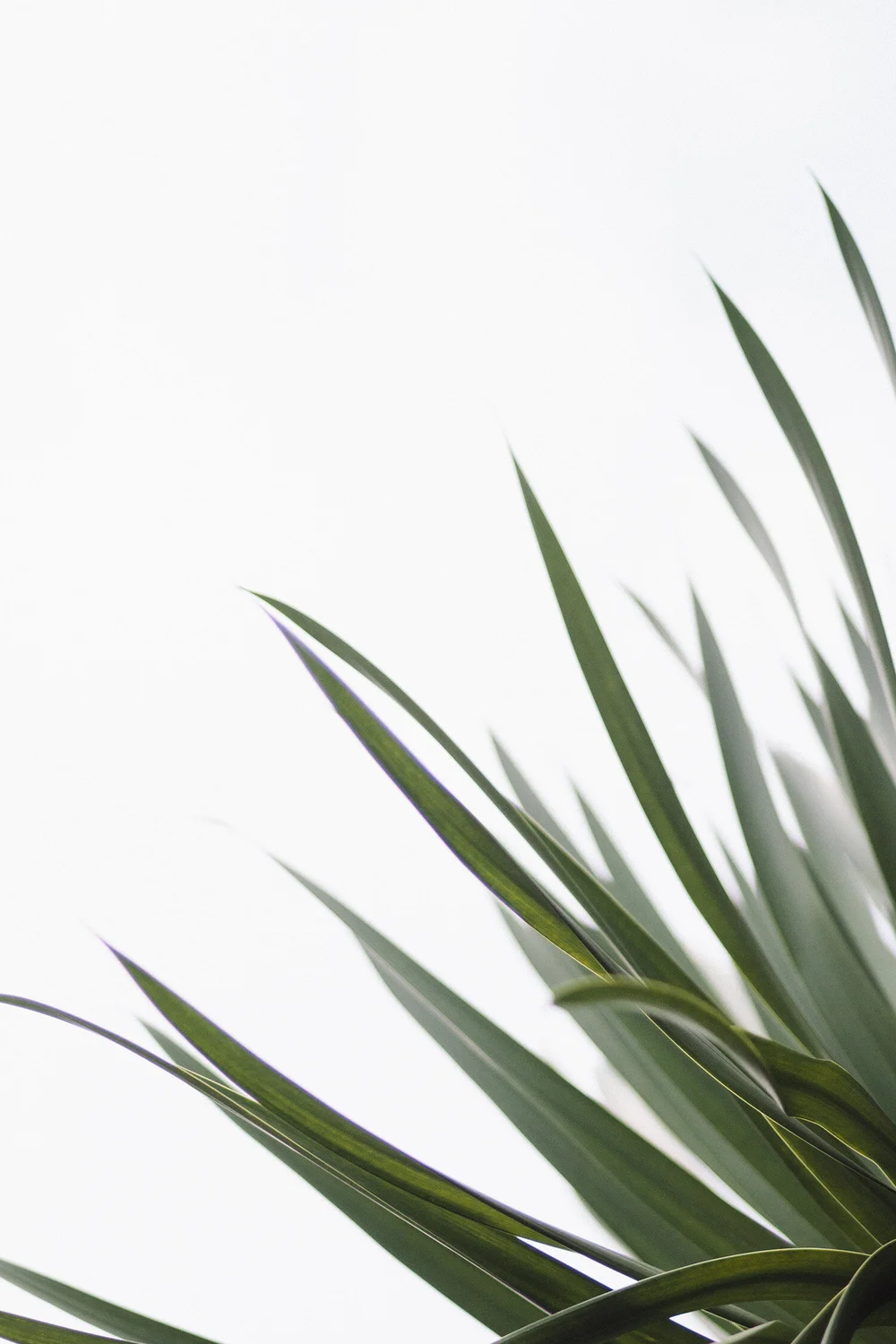 Skin consultation Baldivis