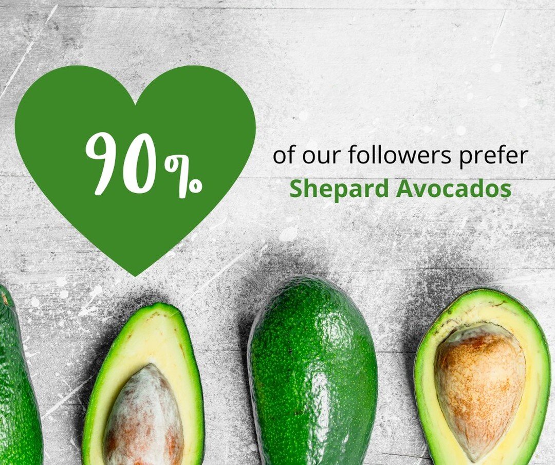 In a recent poll Shepard v Hass, we asked you to vote for your preferred avocado. The Shepard came out top Avo 🥑 with a resounding win at 90% preferred. 
#avocado #shepardavocado #theavotreenursery