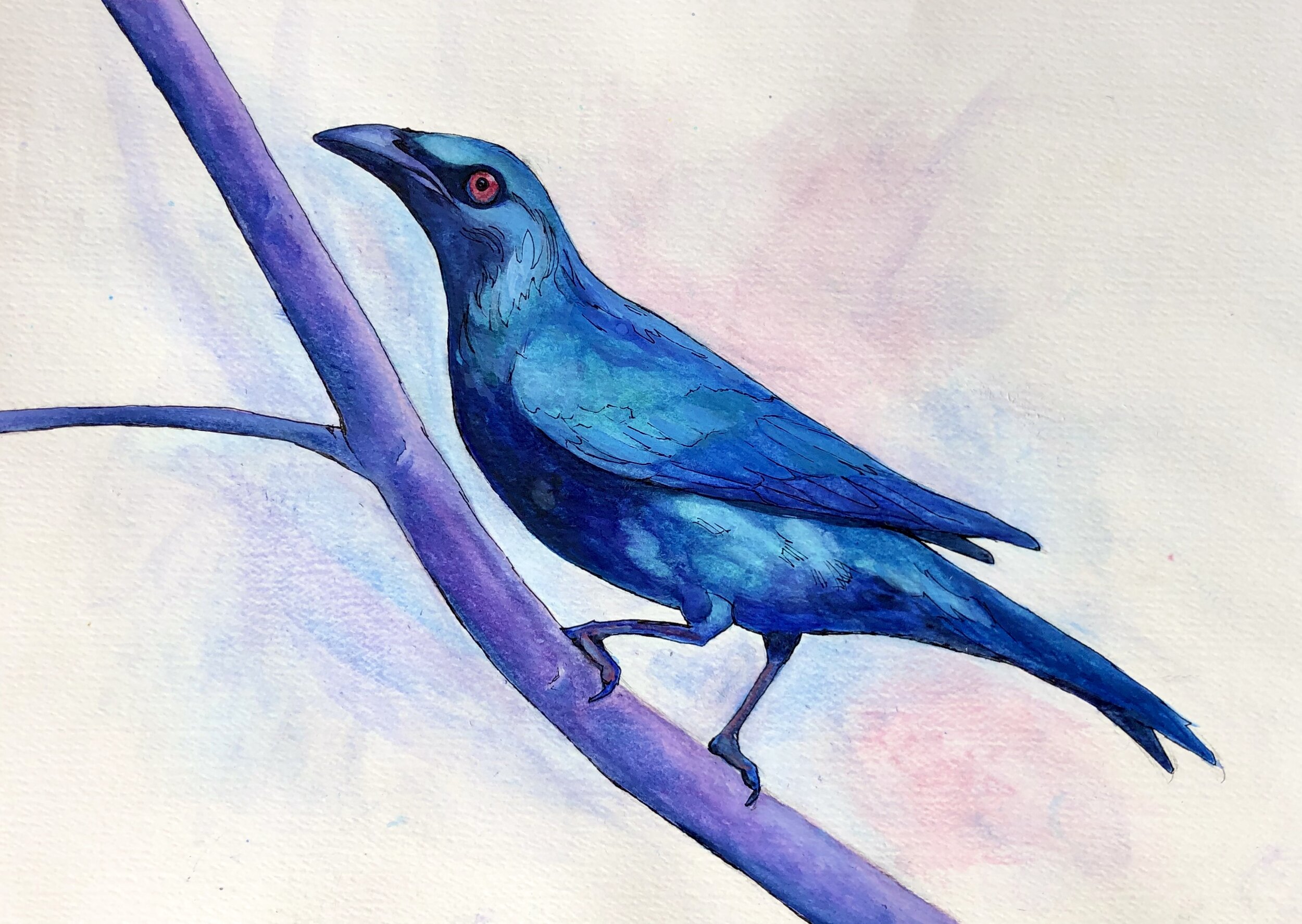 Watercolor Painting Commissions - Watercolors by Kirsten Hubbard