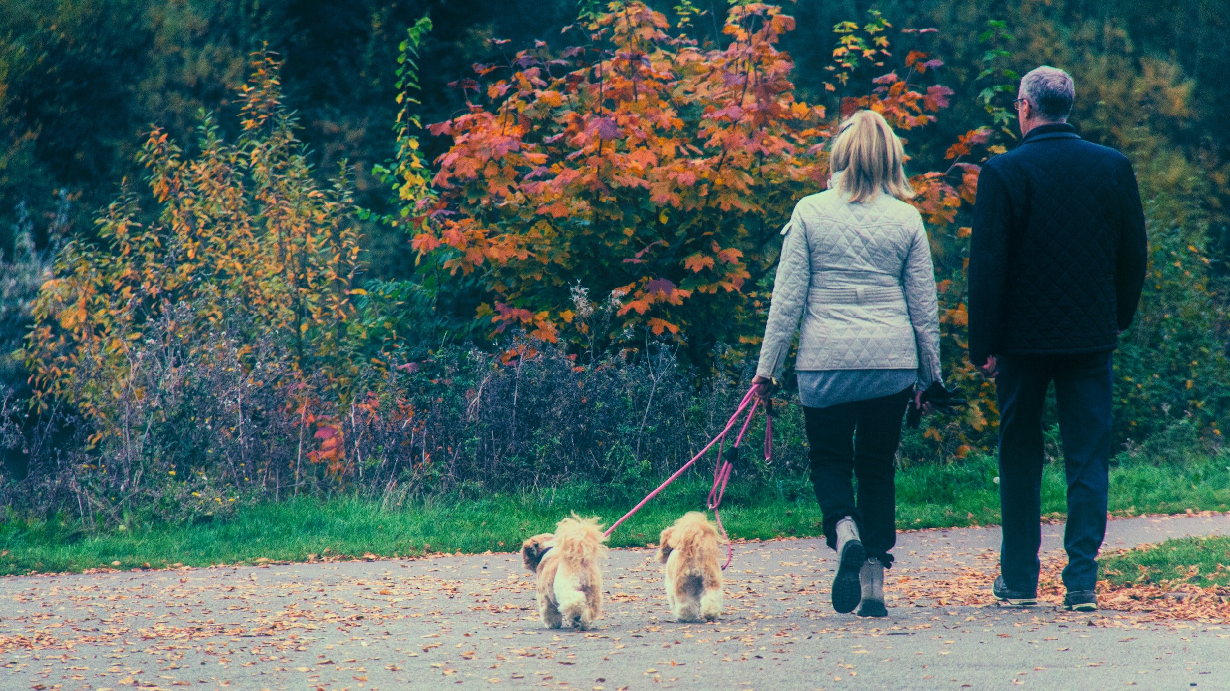 Ways to Add Movement to Your Day