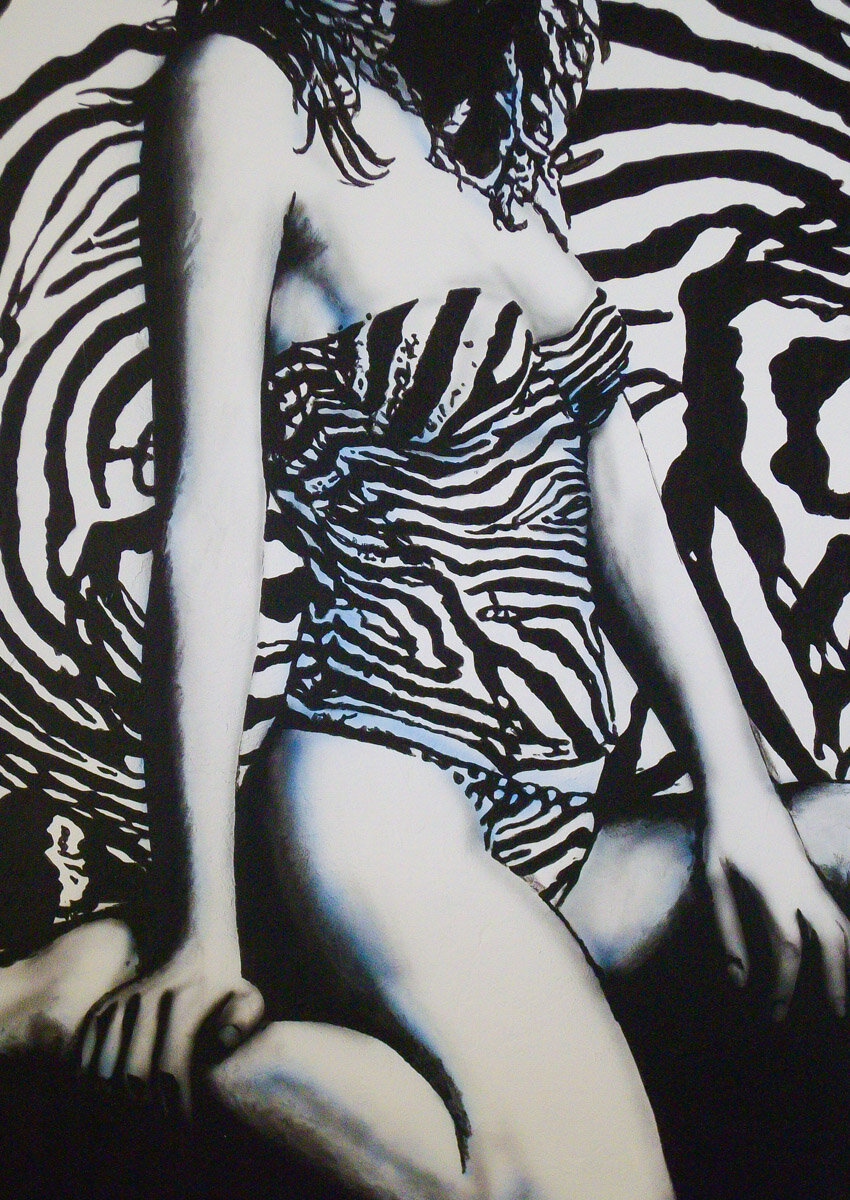 20070814-Zebra-1.2k.jpg