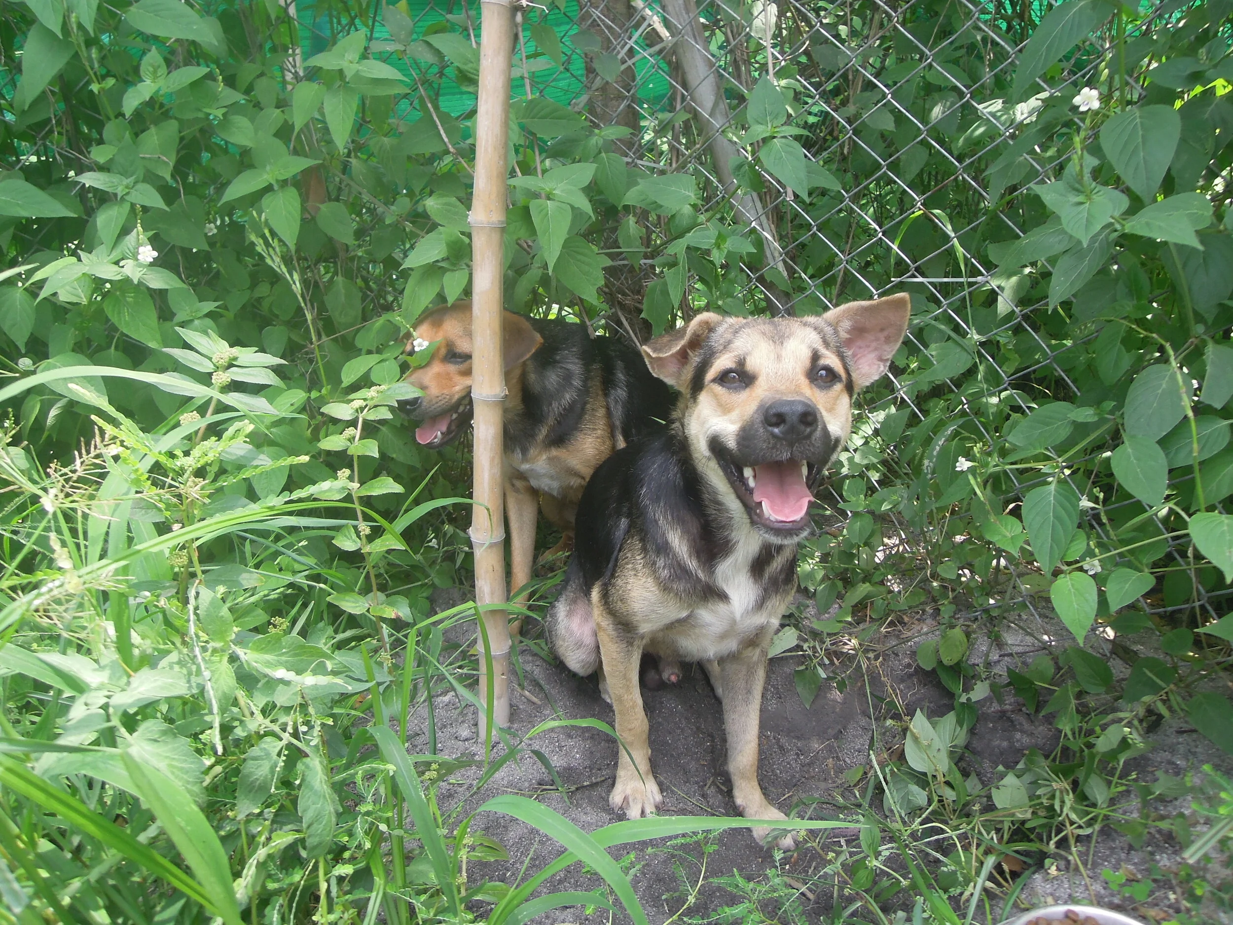 DSCN1577.JPG