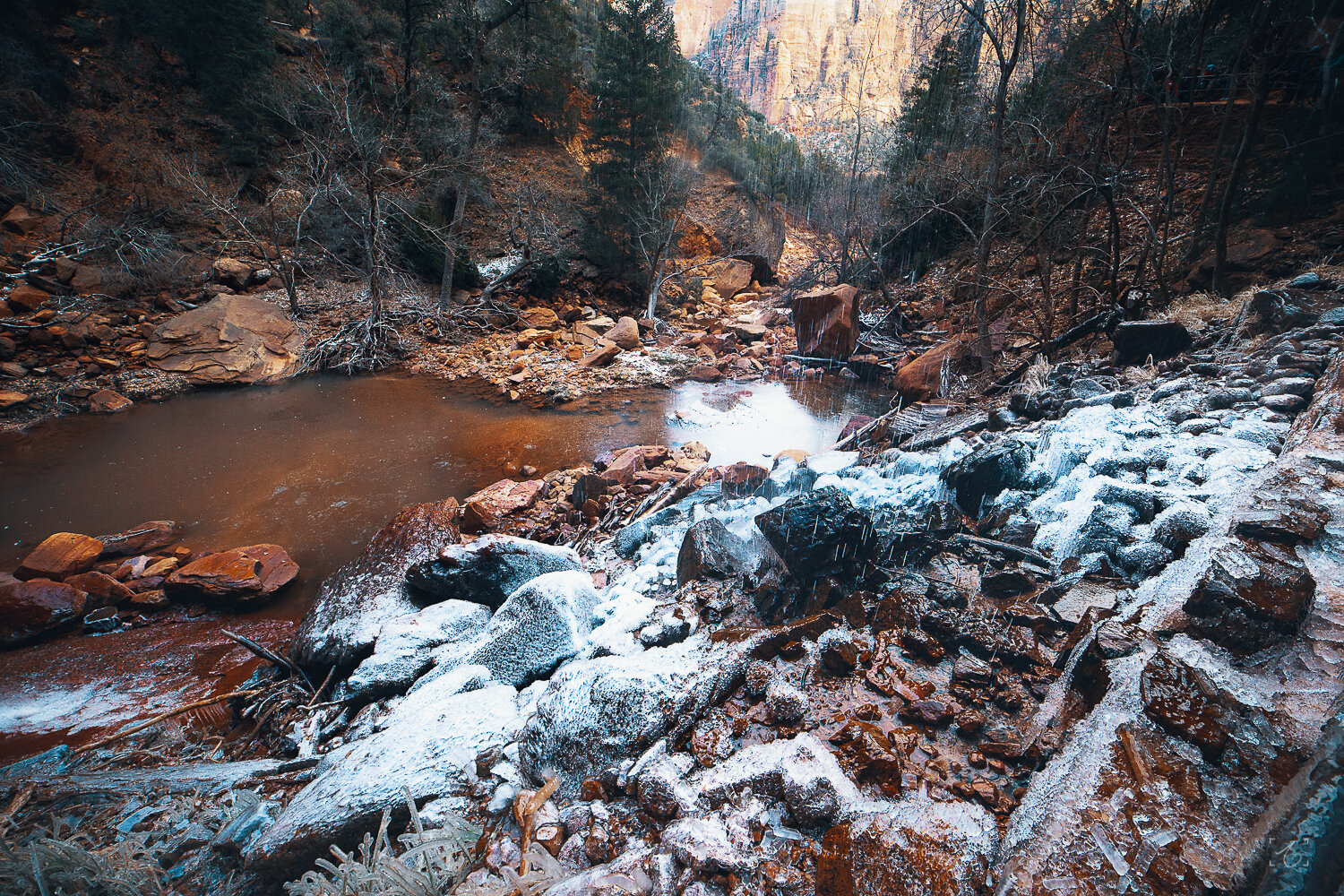 AyushPhotography_12_28_2018_ZionNationalPark_Snow_Ice.jpg