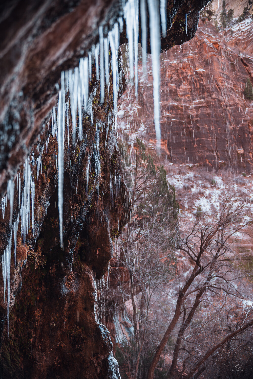 AyushPhotography_12_28_2018_Vegas_ZionNationalPark_icecles.jpg