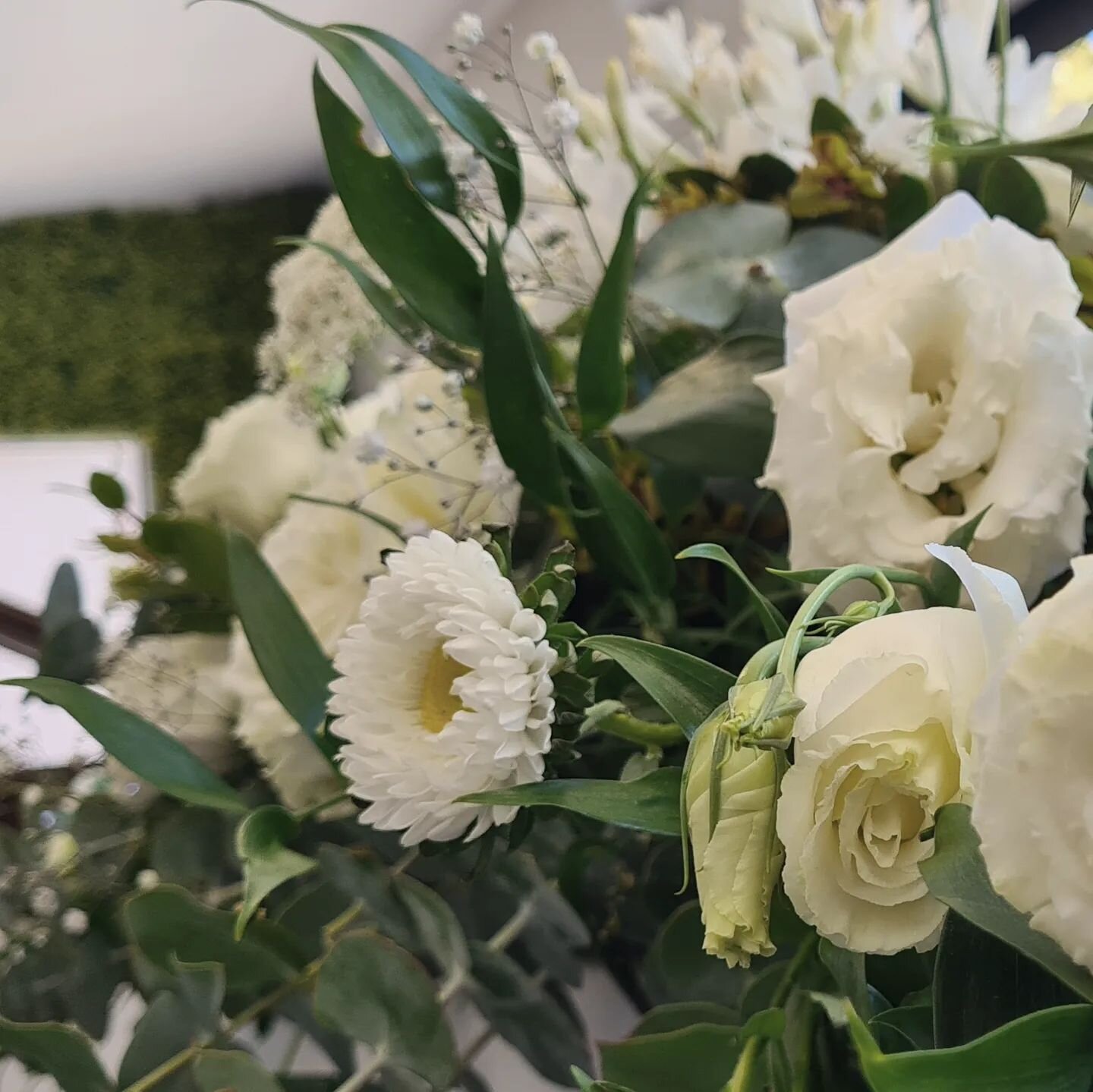 Started the wedding season off with a beauty 🤍
Talayna &amp; Ben are so lovely and it was a pleasure to add my flowers to their very intimate and personal day. More to come in the future!
#teamb #weddingflowers #allwhiteeverything #manawatuflorist #