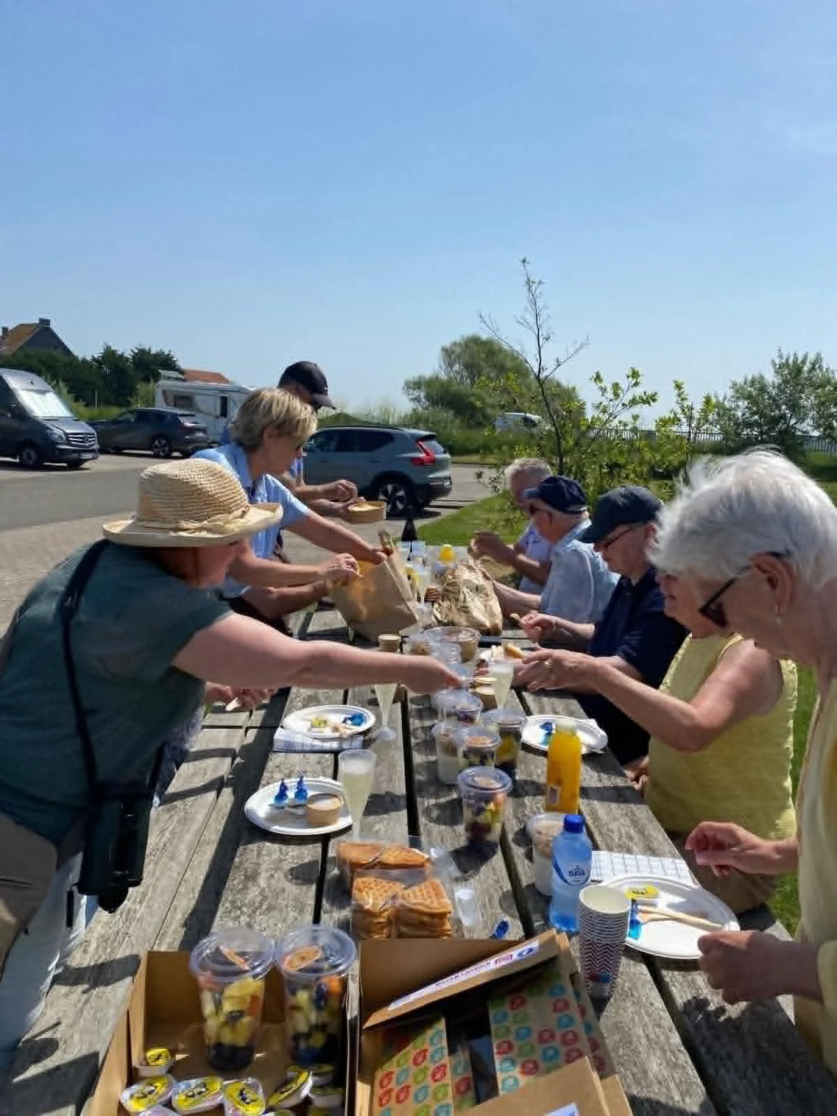 picknick 6.jpg