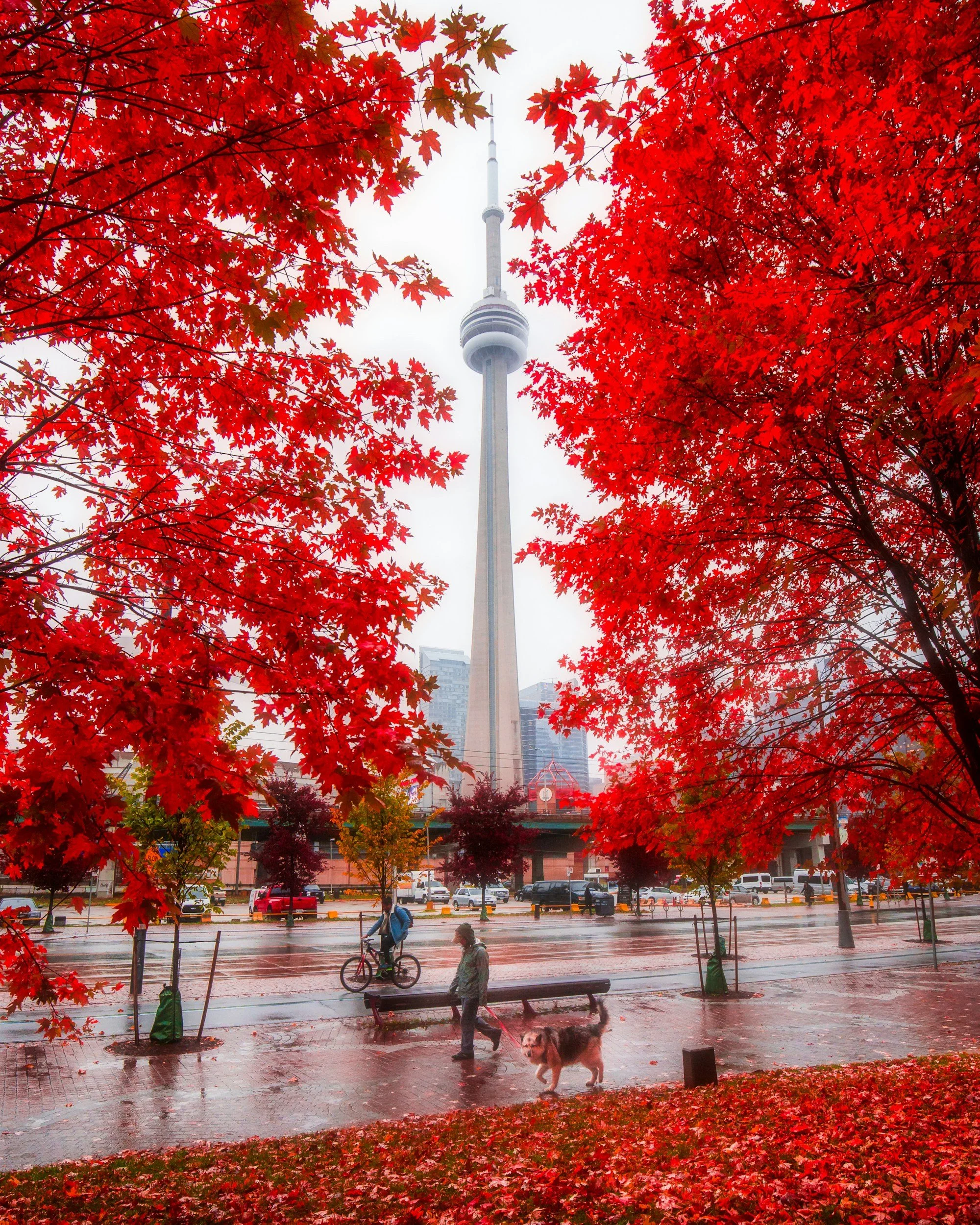 3 Hour+ Sessions Now Available Anywhere in the GTA!