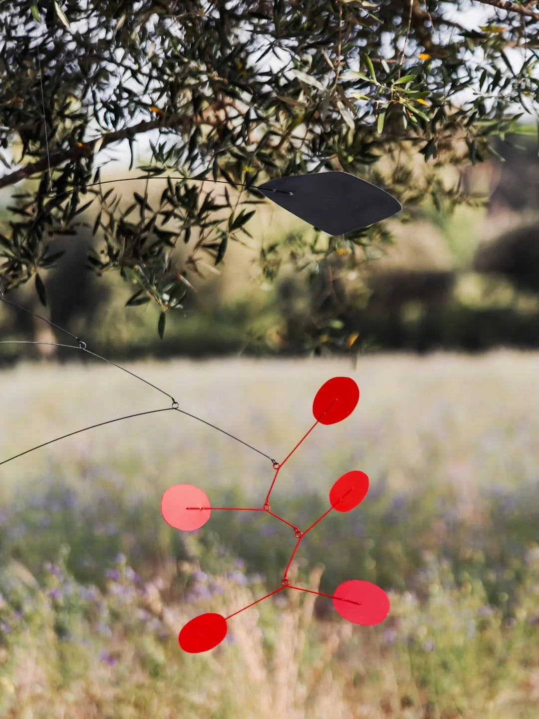 We like to &lsquo;convert&rsquo; local elements of our landscape (birds, trees, posidonia, wheat, etc.) into mobiles and contemplate their smooth and mesmerizing movement, giving life to the spaces, making them warm and welcoming.

The Olivum mobile 