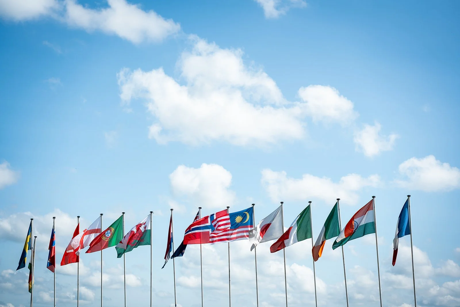 TCS Corporate Cup 2025 X Meisje met de Camera_-42.jpg