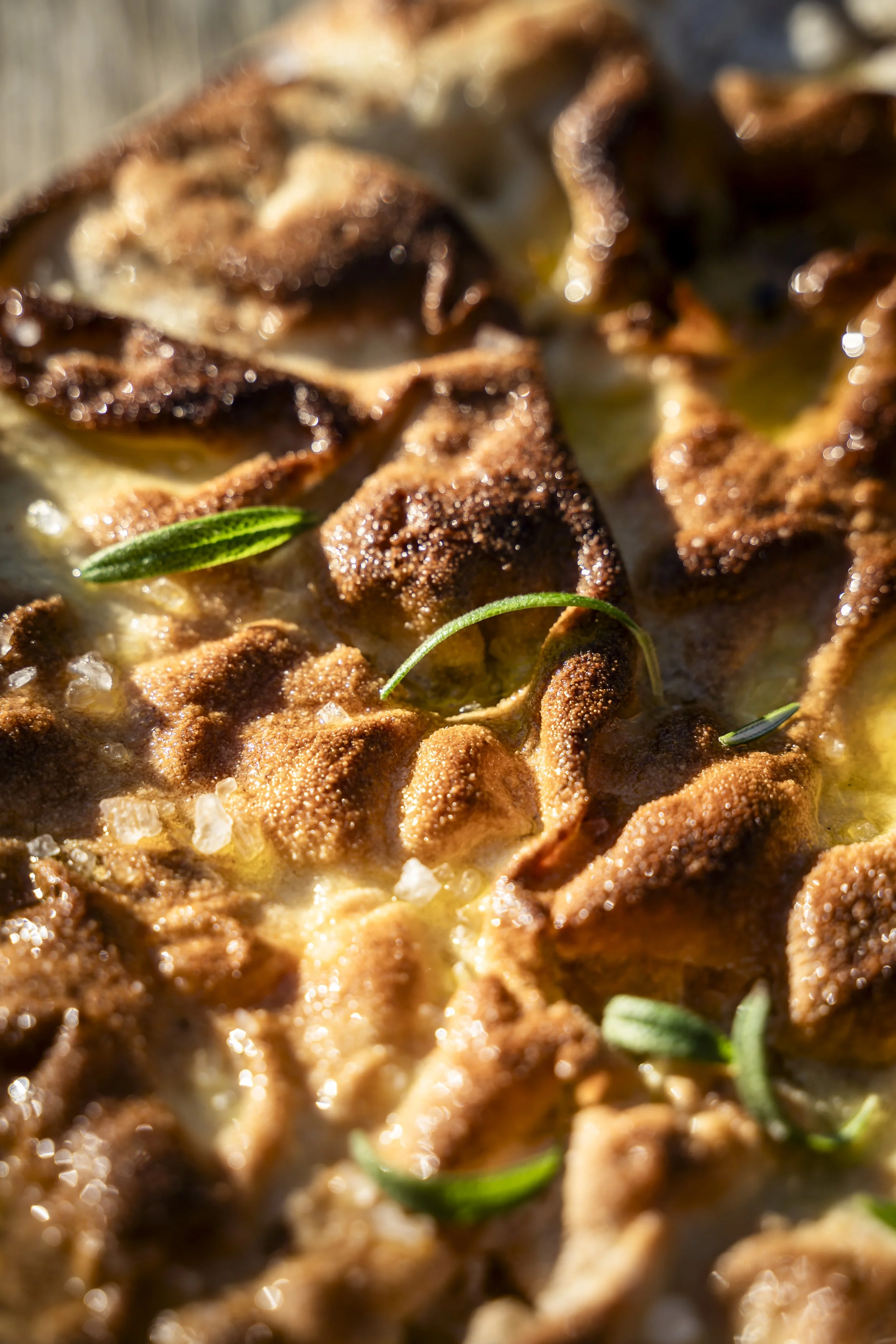 Gastrovino x Meisje met de camera-20.jpg