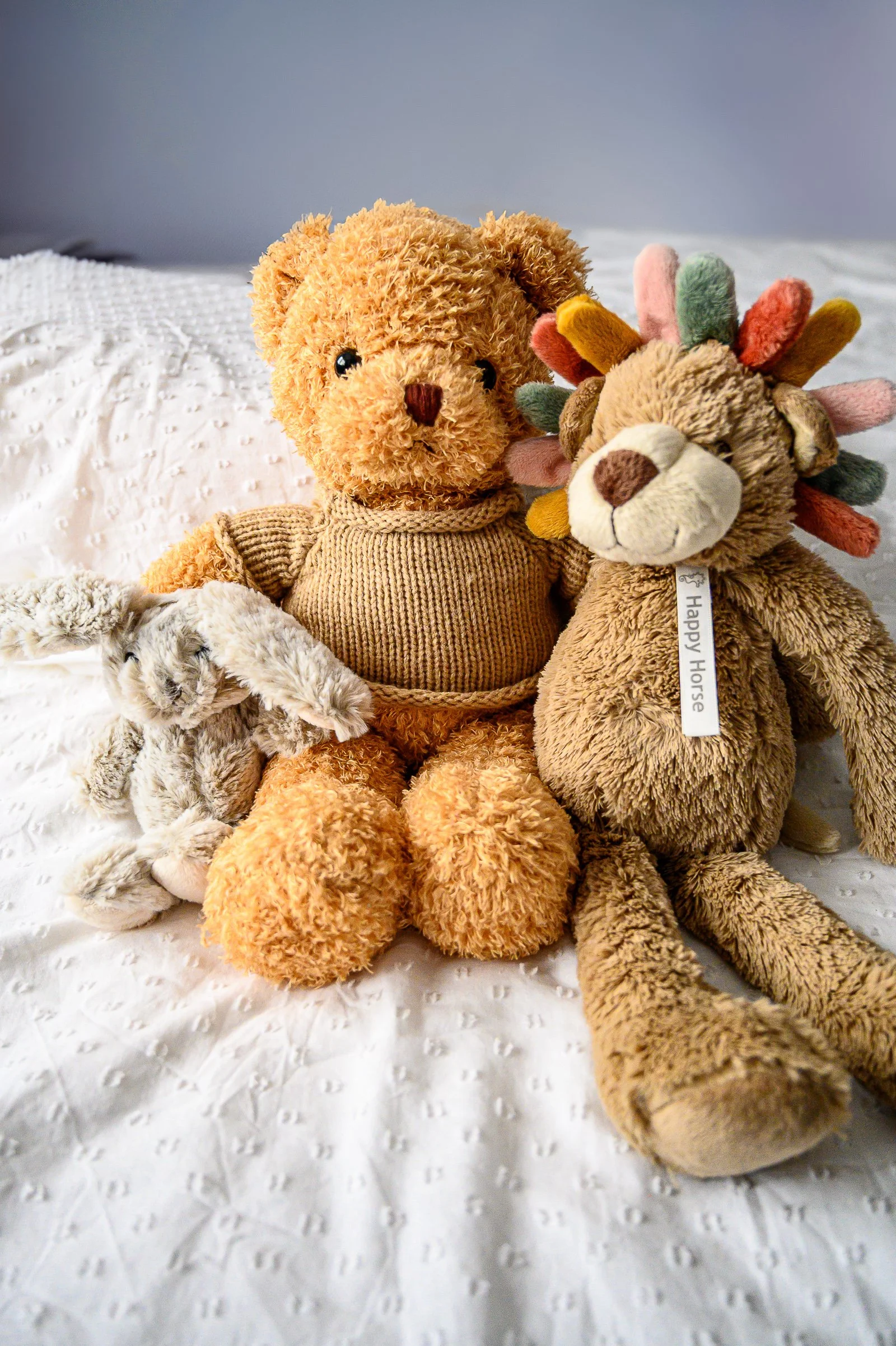 Jessie Newborn_Den Bosch_2025_DSC_7489.jpg