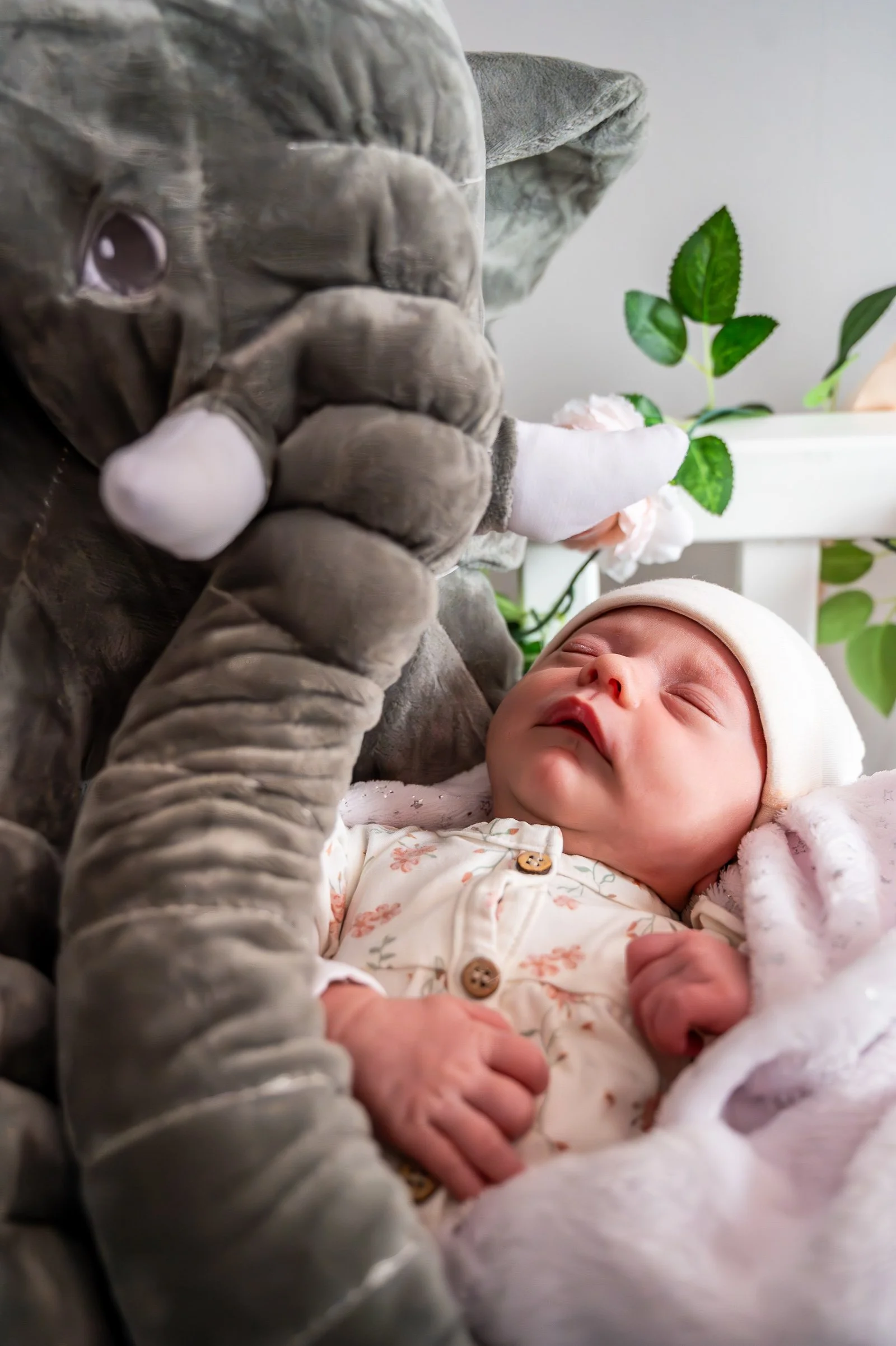 Hailey Newborn_Tilburg _2024_DSC_0654-Enhanced-NR.jpg