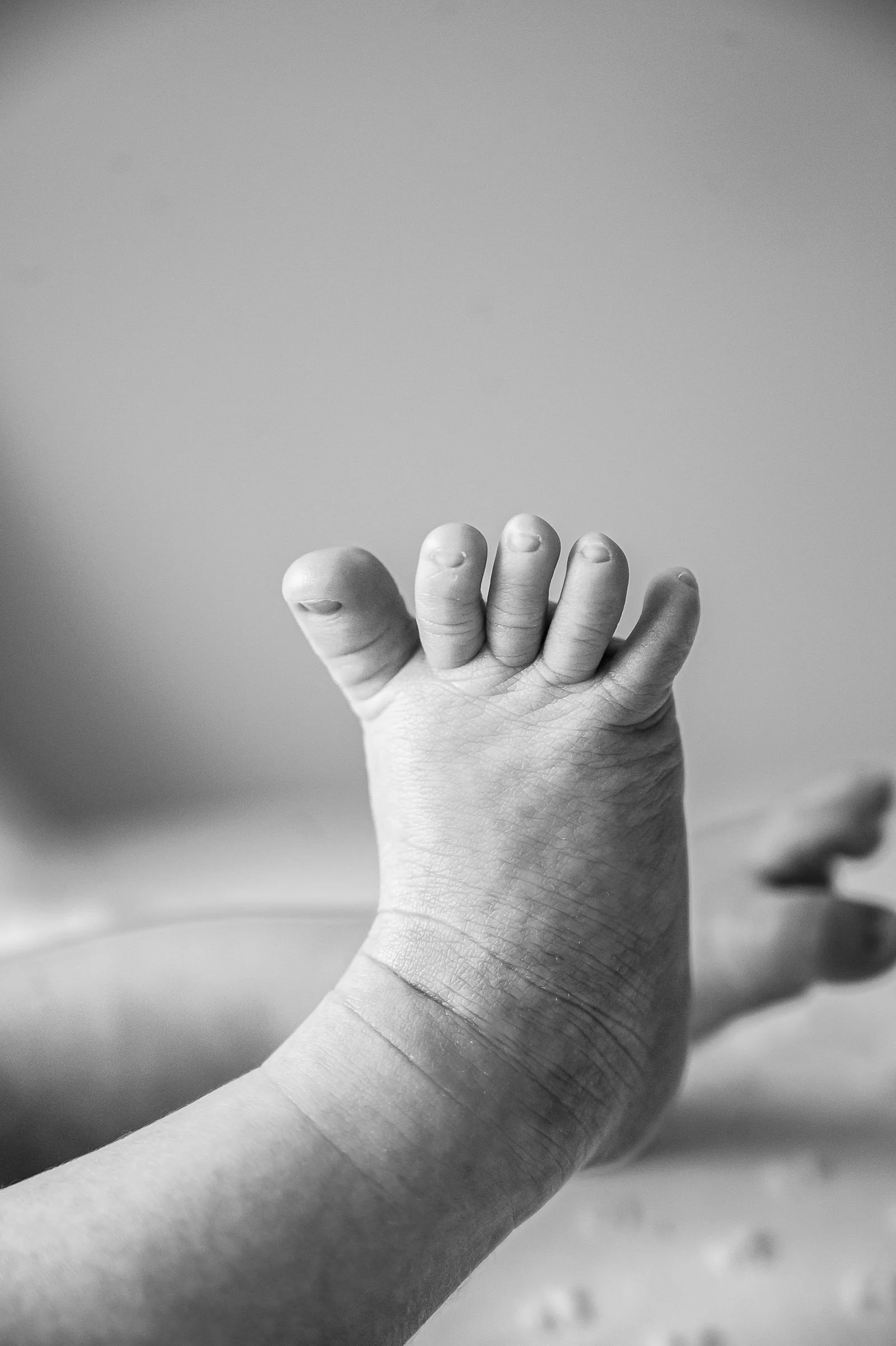 Jessie Newborn_Den Bosch_2025_DSC_7259.jpg