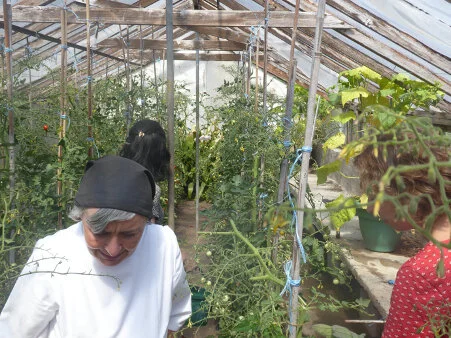 Living Laudato Si’:Your Parish and Your Planet