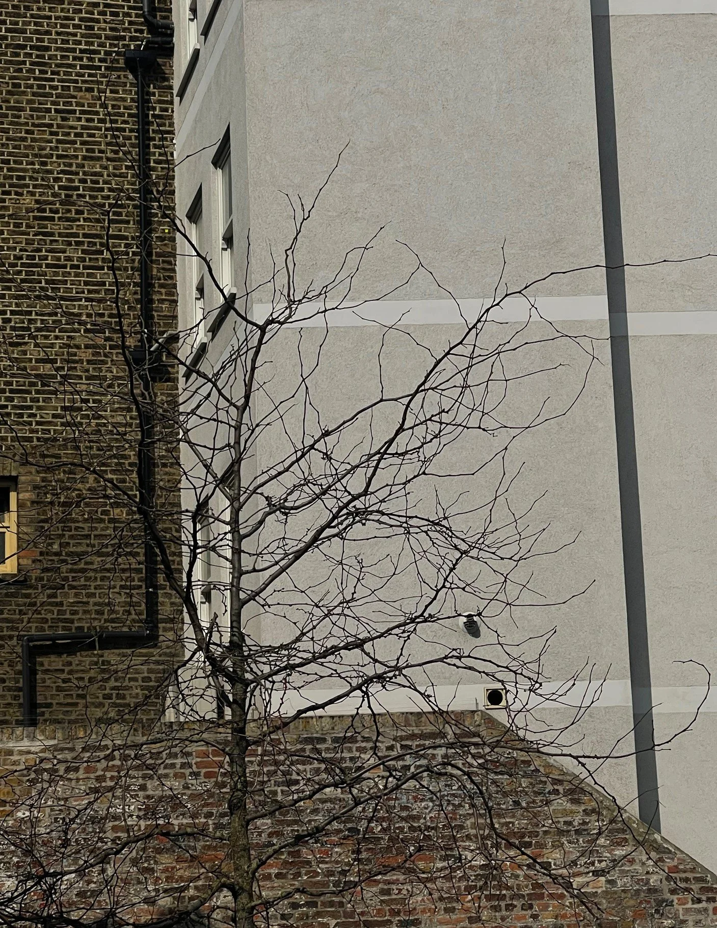 London facade.jpg