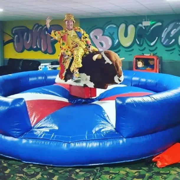 Rodeo Bull