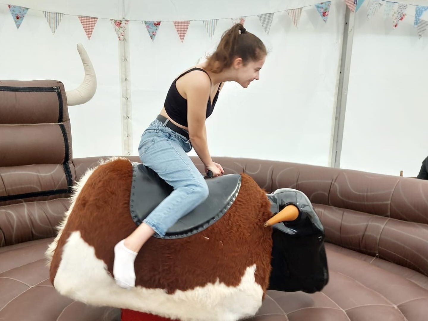 Bucking Bronco.jpg
