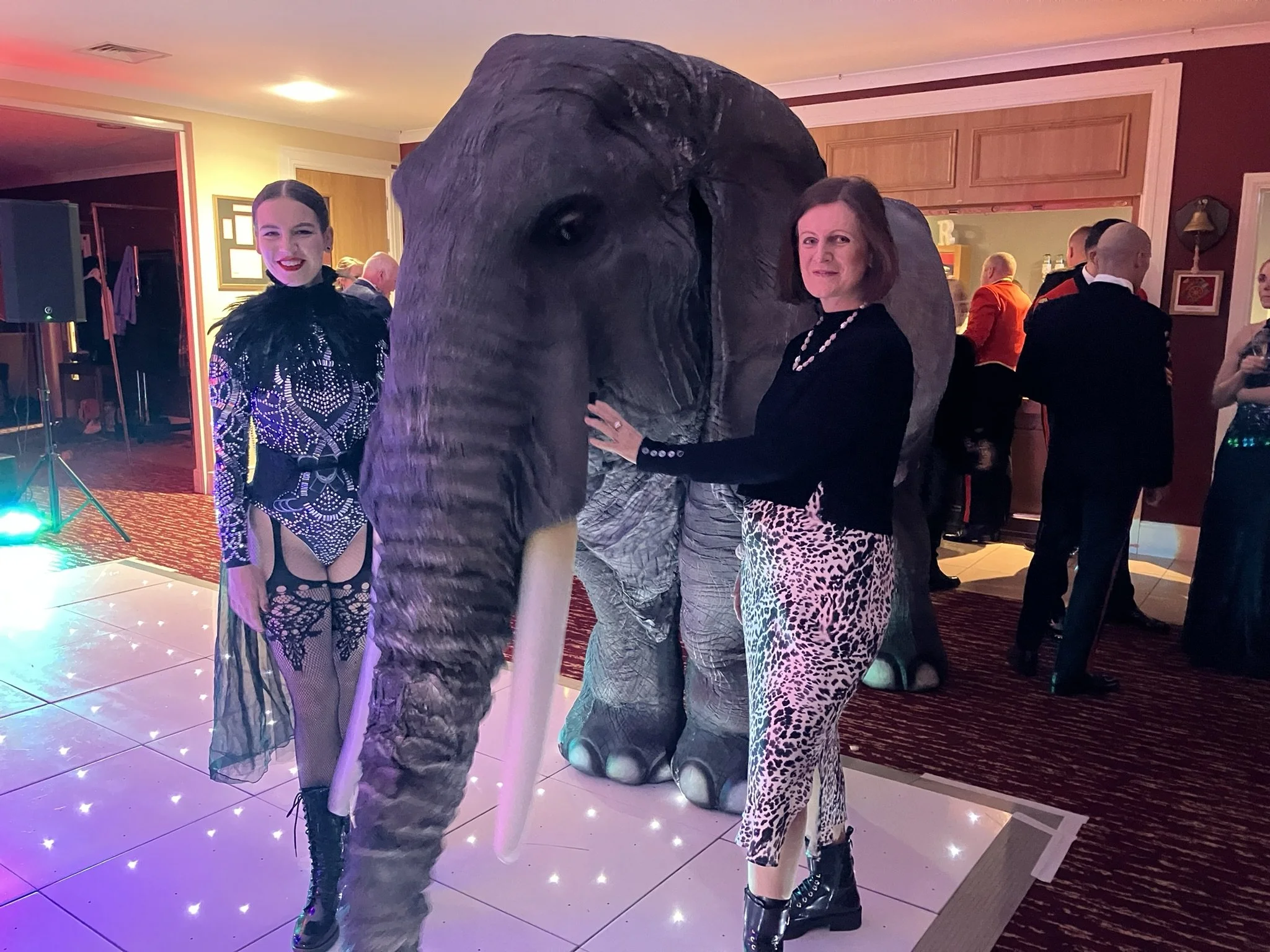 Moulin Rouge Walking Elephant