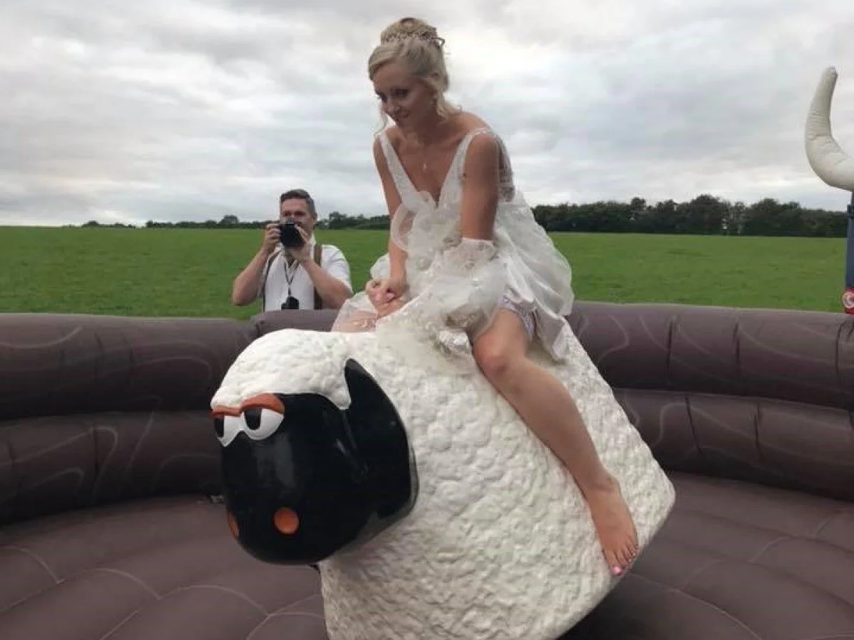 Bucking Sheep.jpg