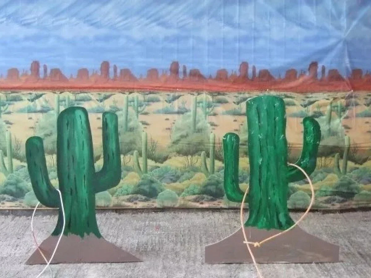 Cactus Lasso