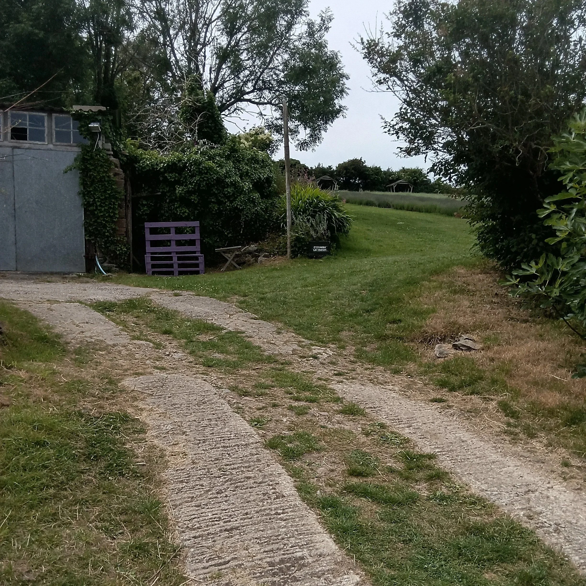 10m hill incline into the Lavender Field, with resting seat