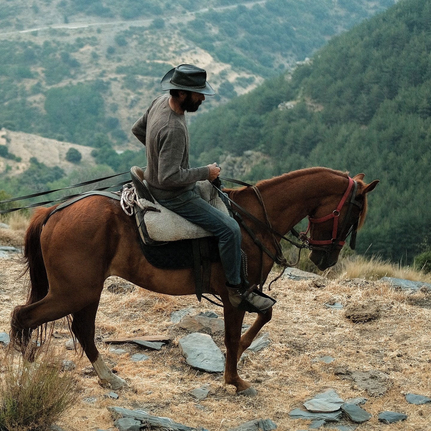 There are still places where the wild is preserved 
Places where you meet no one, only the silence of the mountains - and a handful of shepherds leading their sheep uphill. 
This is where Antonio lives.
Or more accurately : this is how Antonio lives.