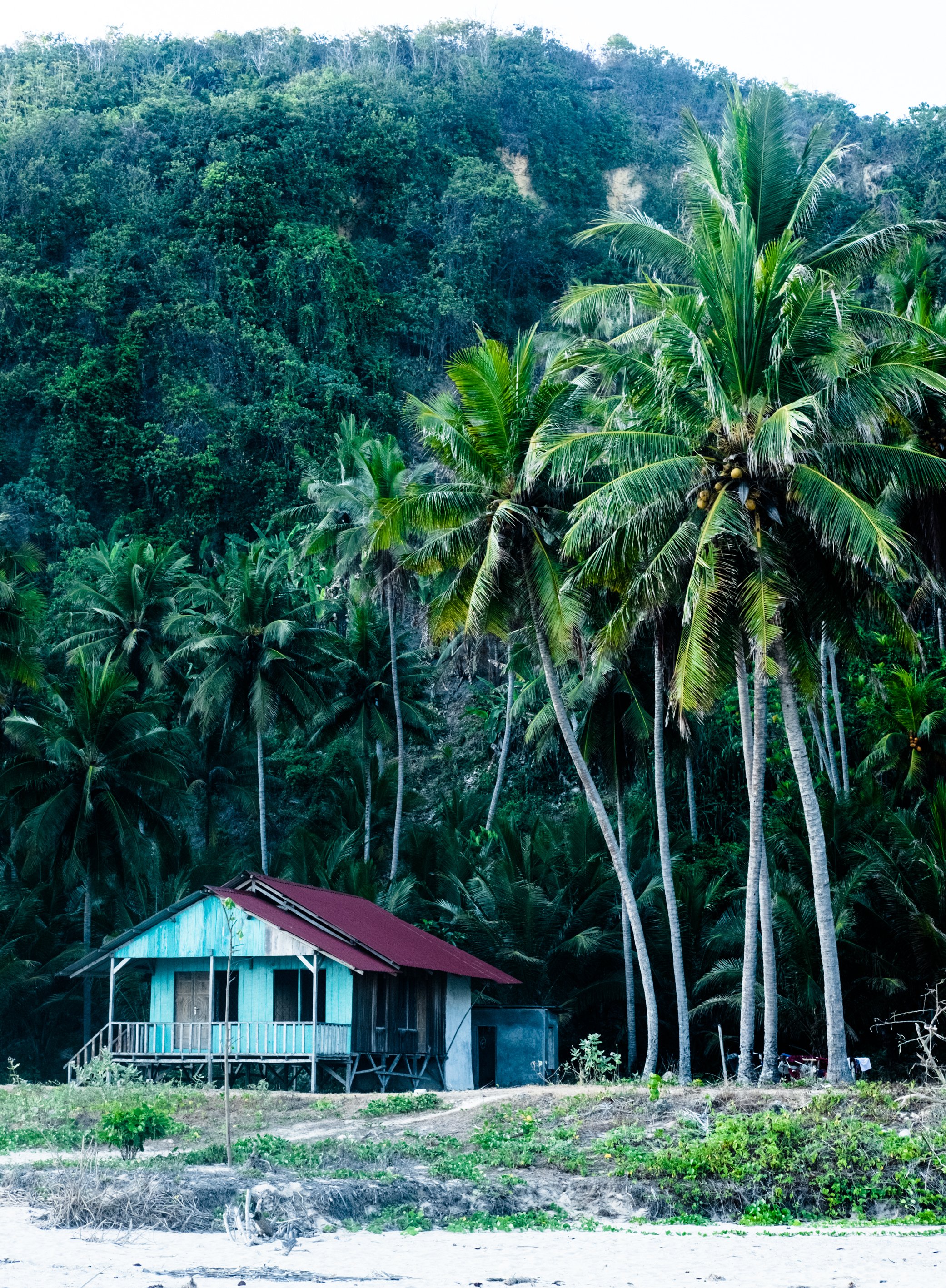 House of the rising sun