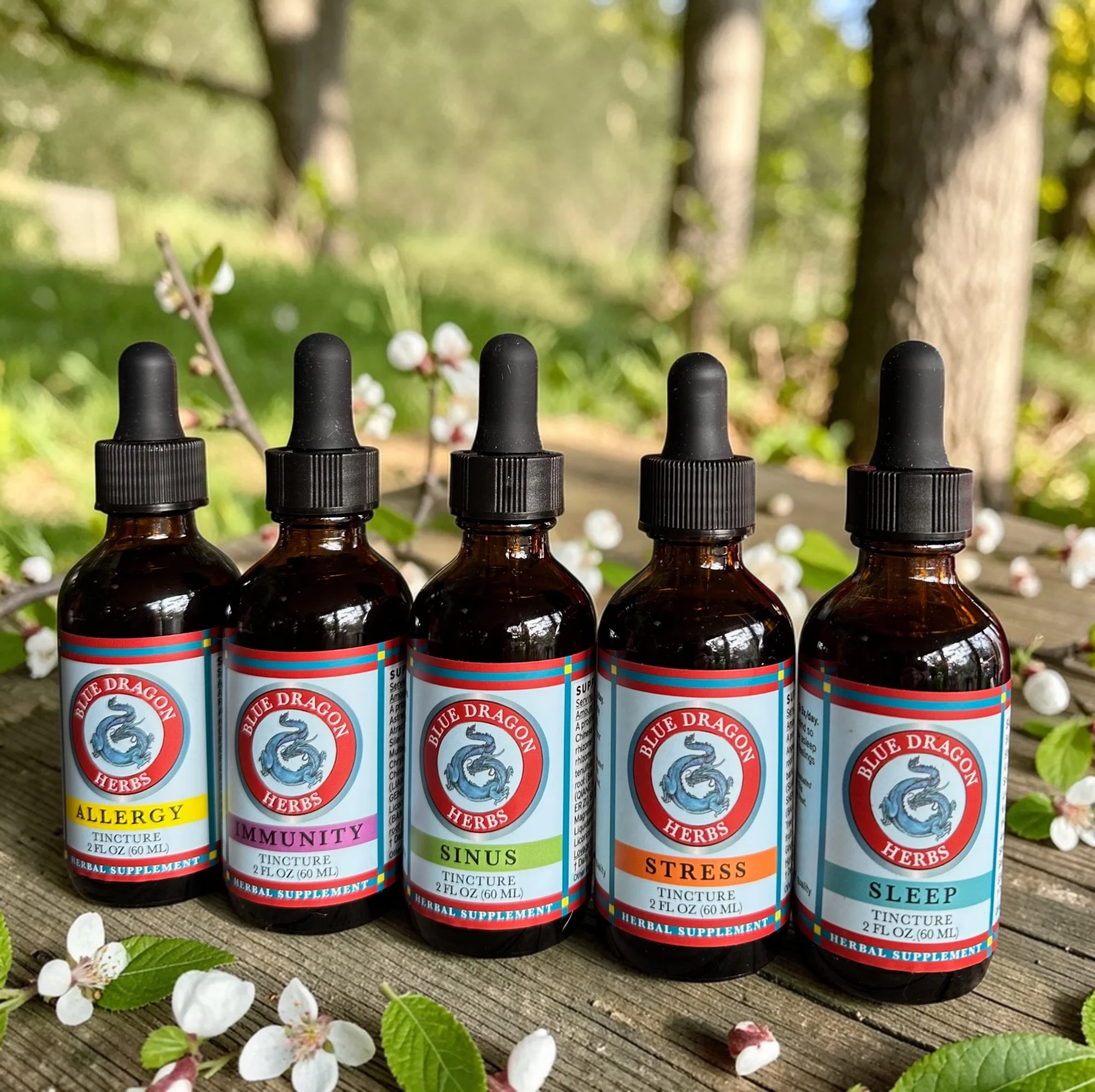 Blue Dragon Spring Line Outside 2026.jpg