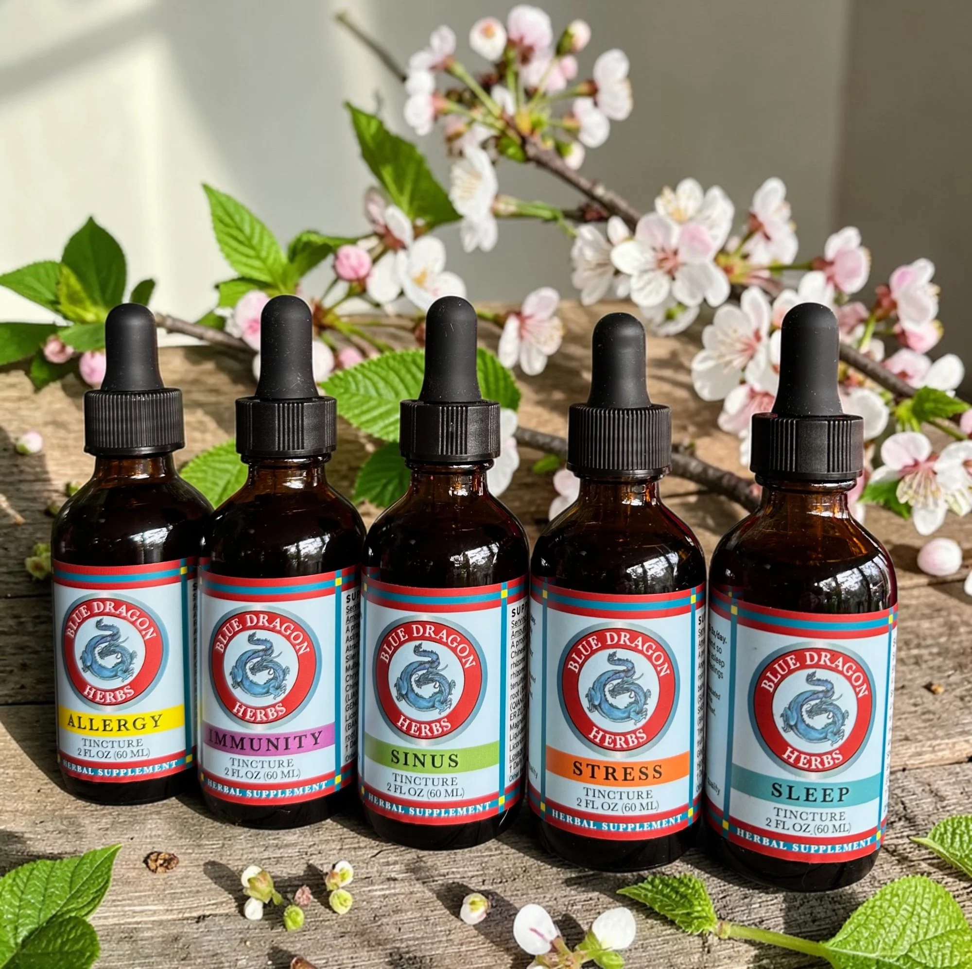 Blue Dragon Spring Line 2026.jpg