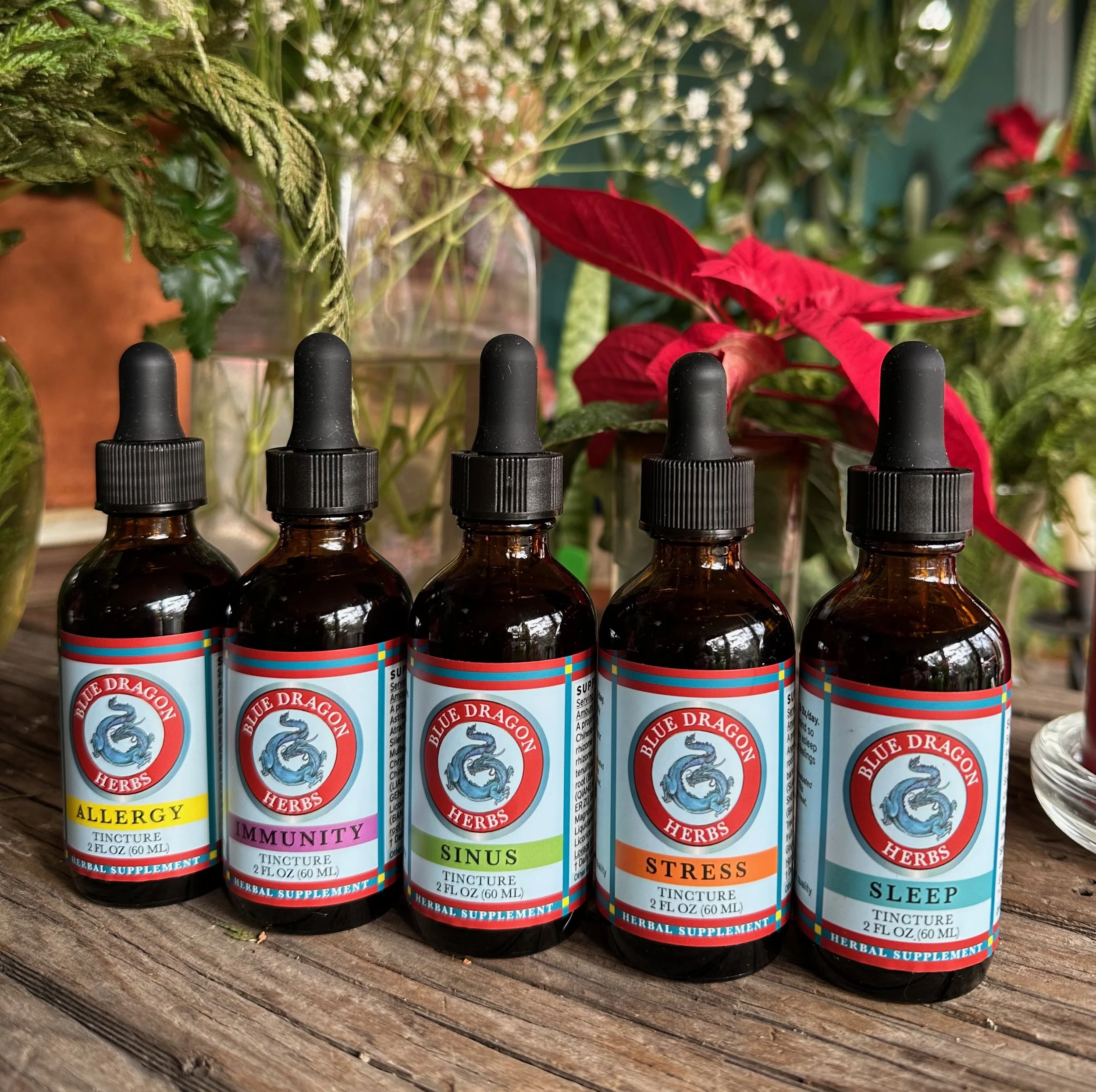 Multiple dropper bottles labeled 'Blue Dragon Herbs' with colorful design, set on a wooden surface next to small white flowers and a red poinsetta leaf.
