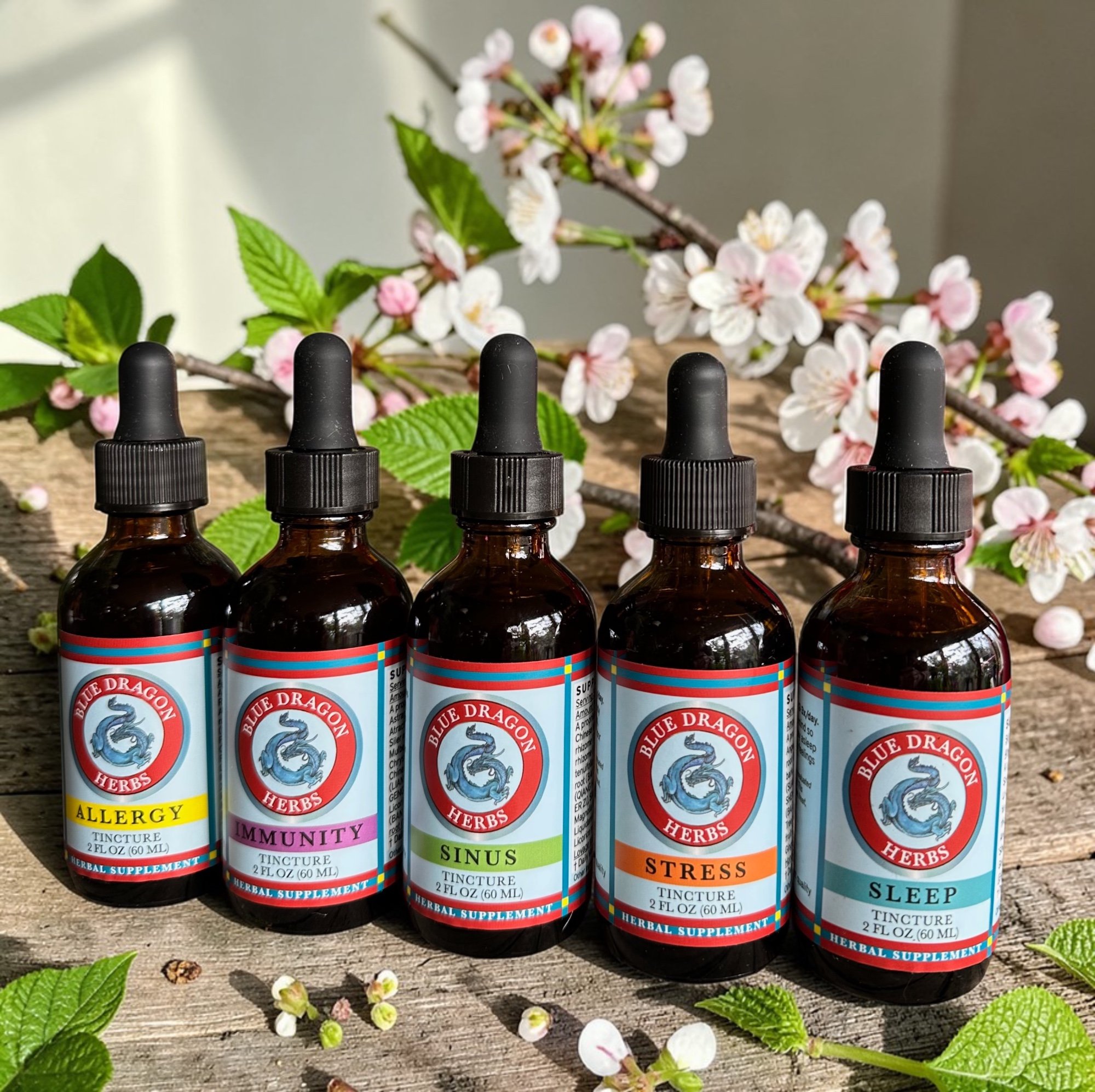 Blue Dragon Spring Line 2026.jpg