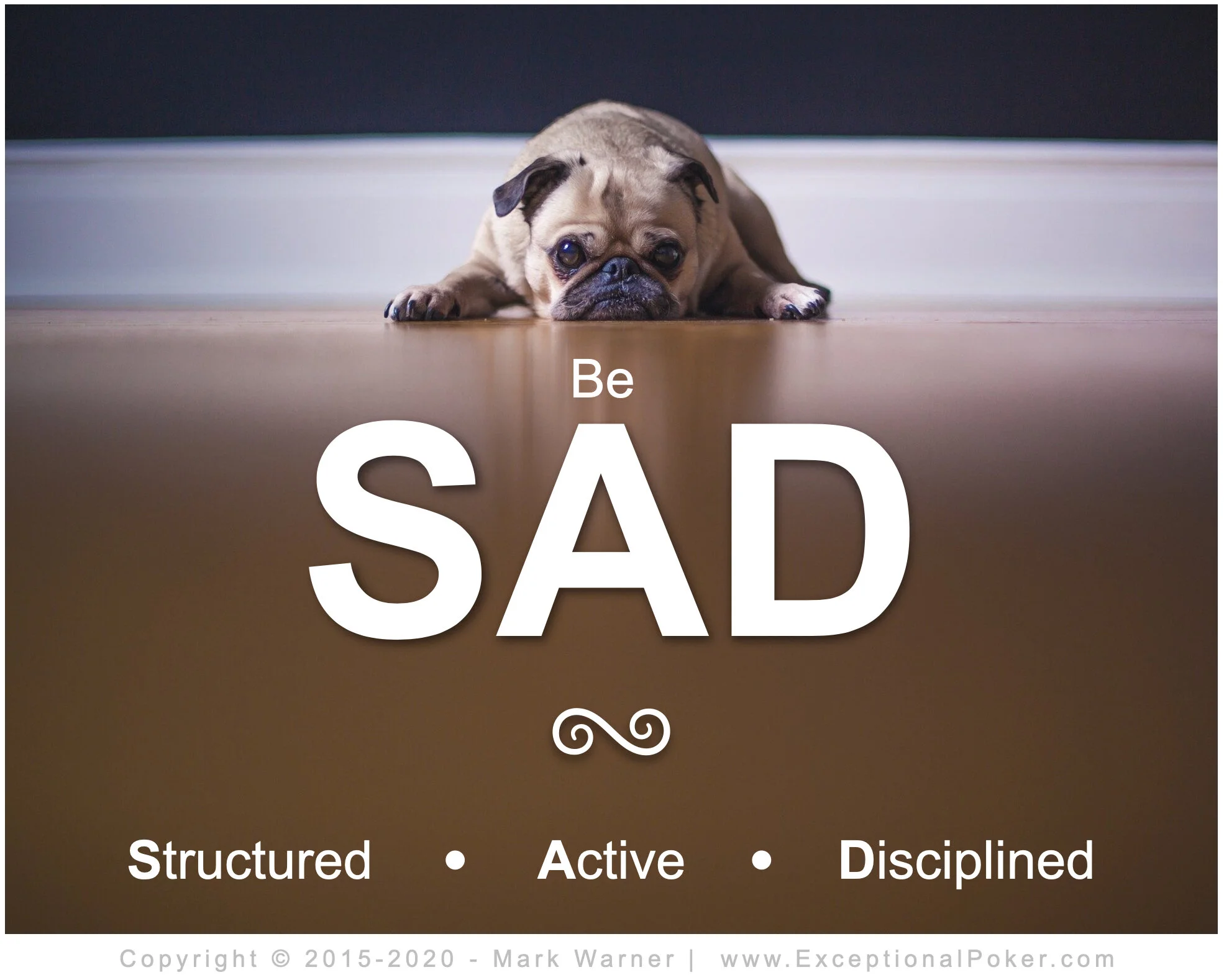 SAD - Structured Active Disciplined.jpg