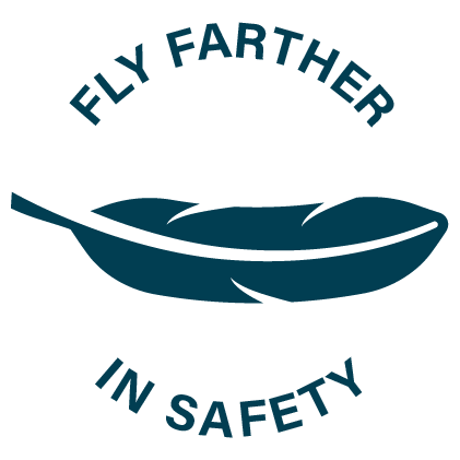 ICON- Fly father in safety.png