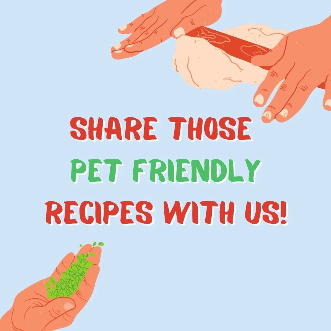 What Makes Aviator Unique Among Crash Slots: Uganda’s Perspective