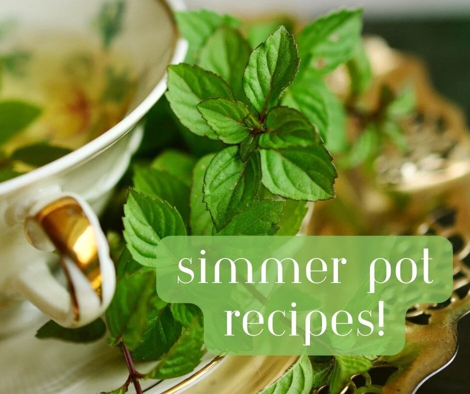 Transforming Your Parrot's Health and Behavior The Journey to a