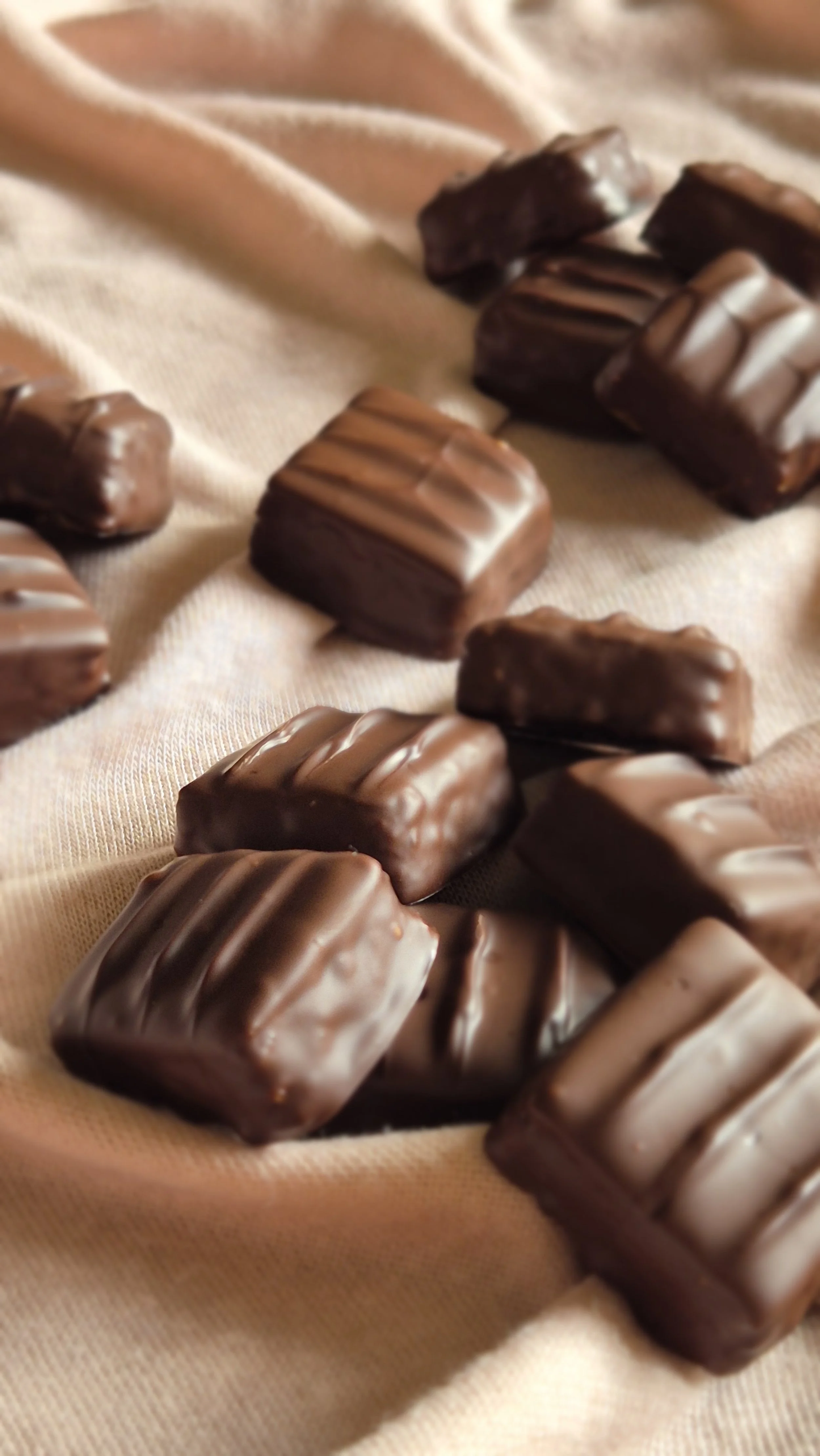 Samedi 14 février de 14h à 16h