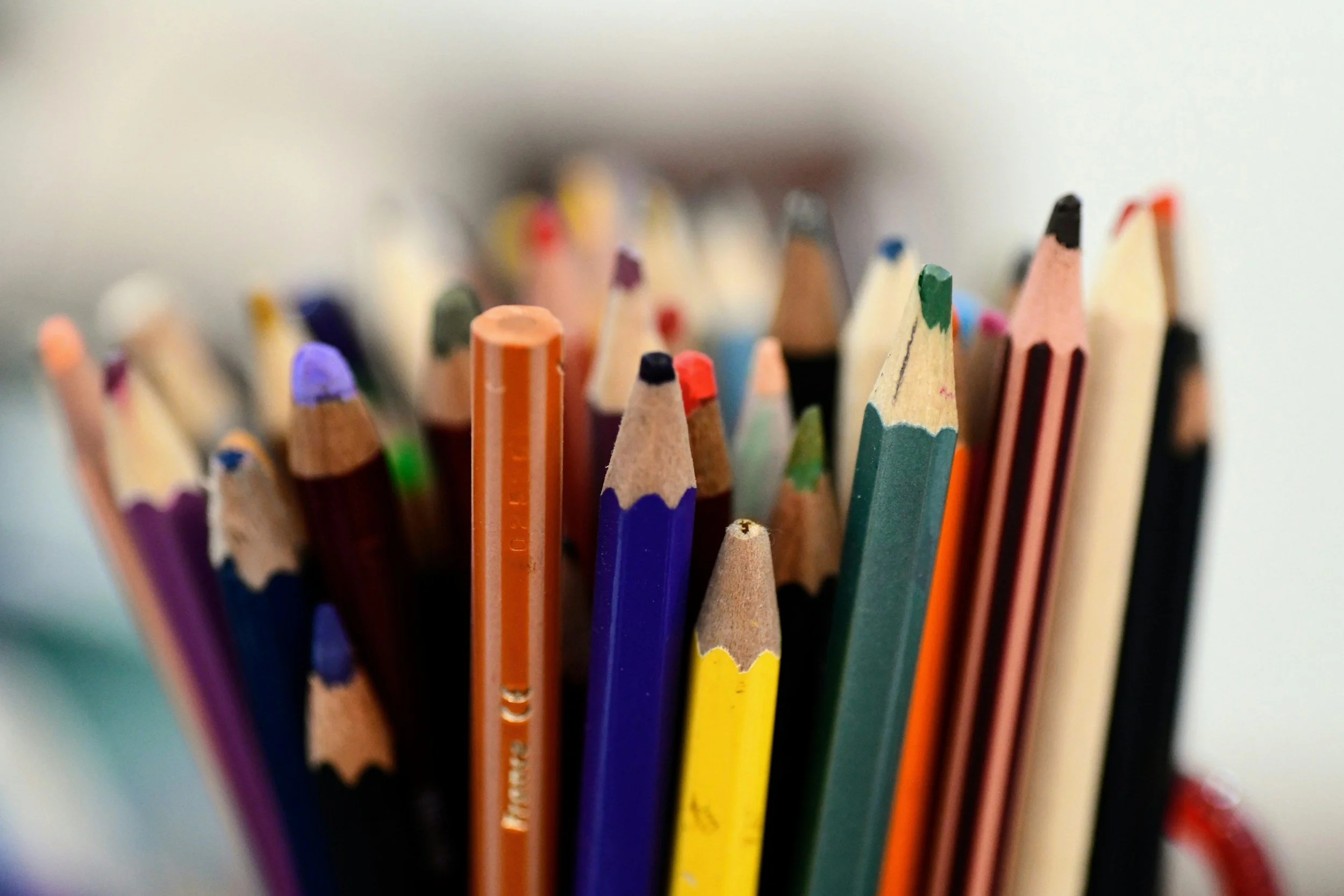 Jeudi 19 février de 14h à 16h