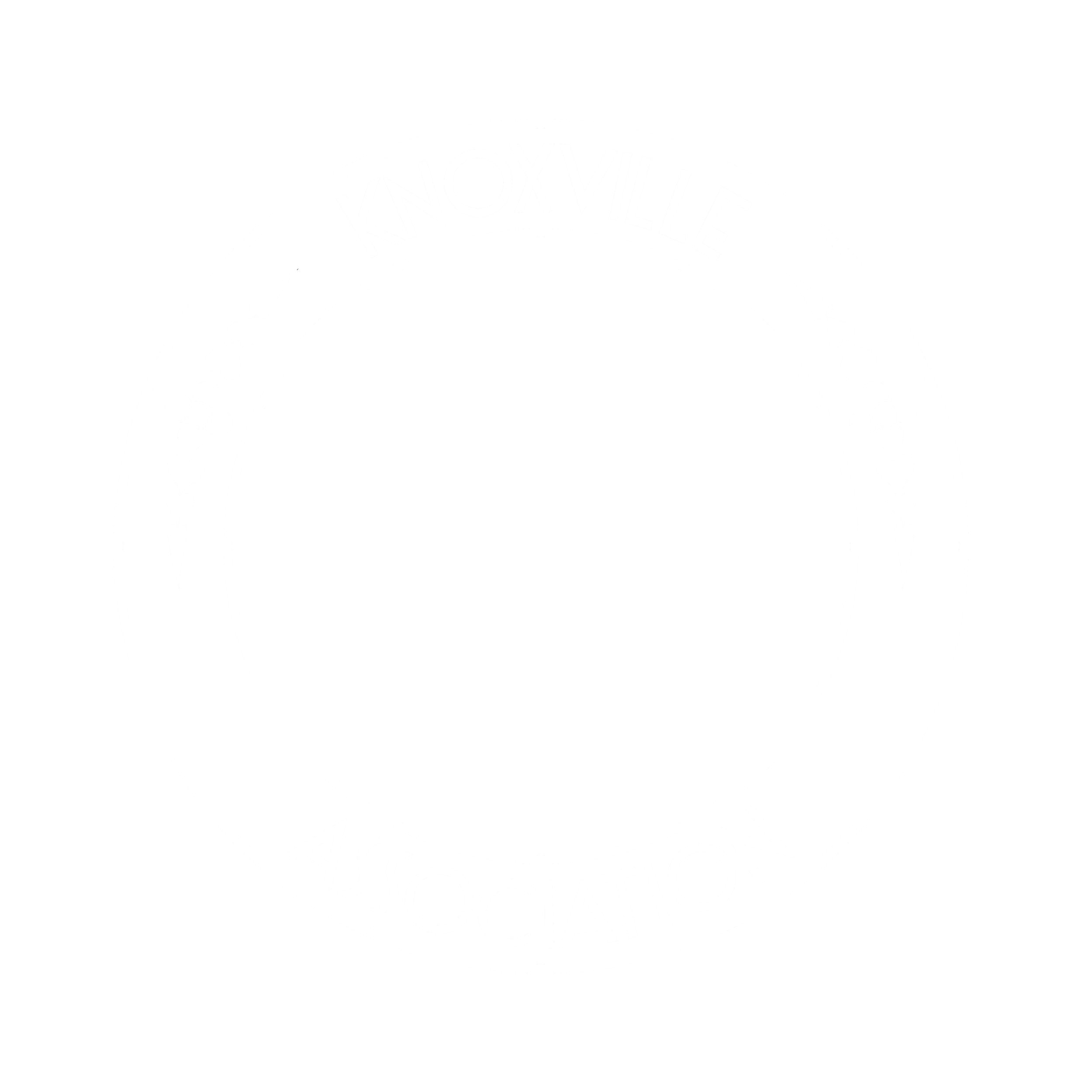 logo - white - transparent bg.png