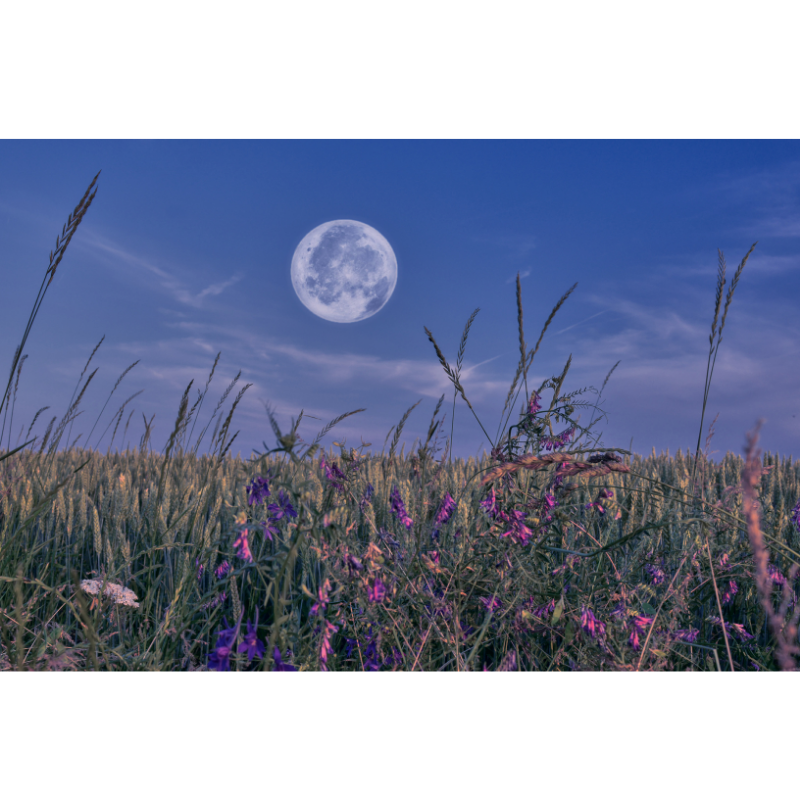 Called to Shine: Reflecting Christ in a Dark World