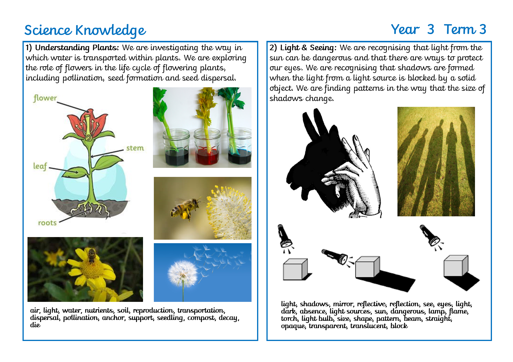 RB Y3 Term 3 Parents' sheet.png