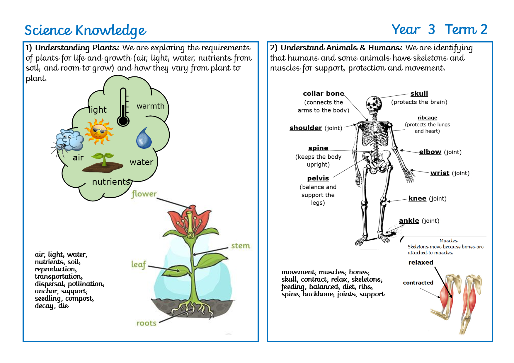 RB Y3 Term 2 Parents' sheet.png