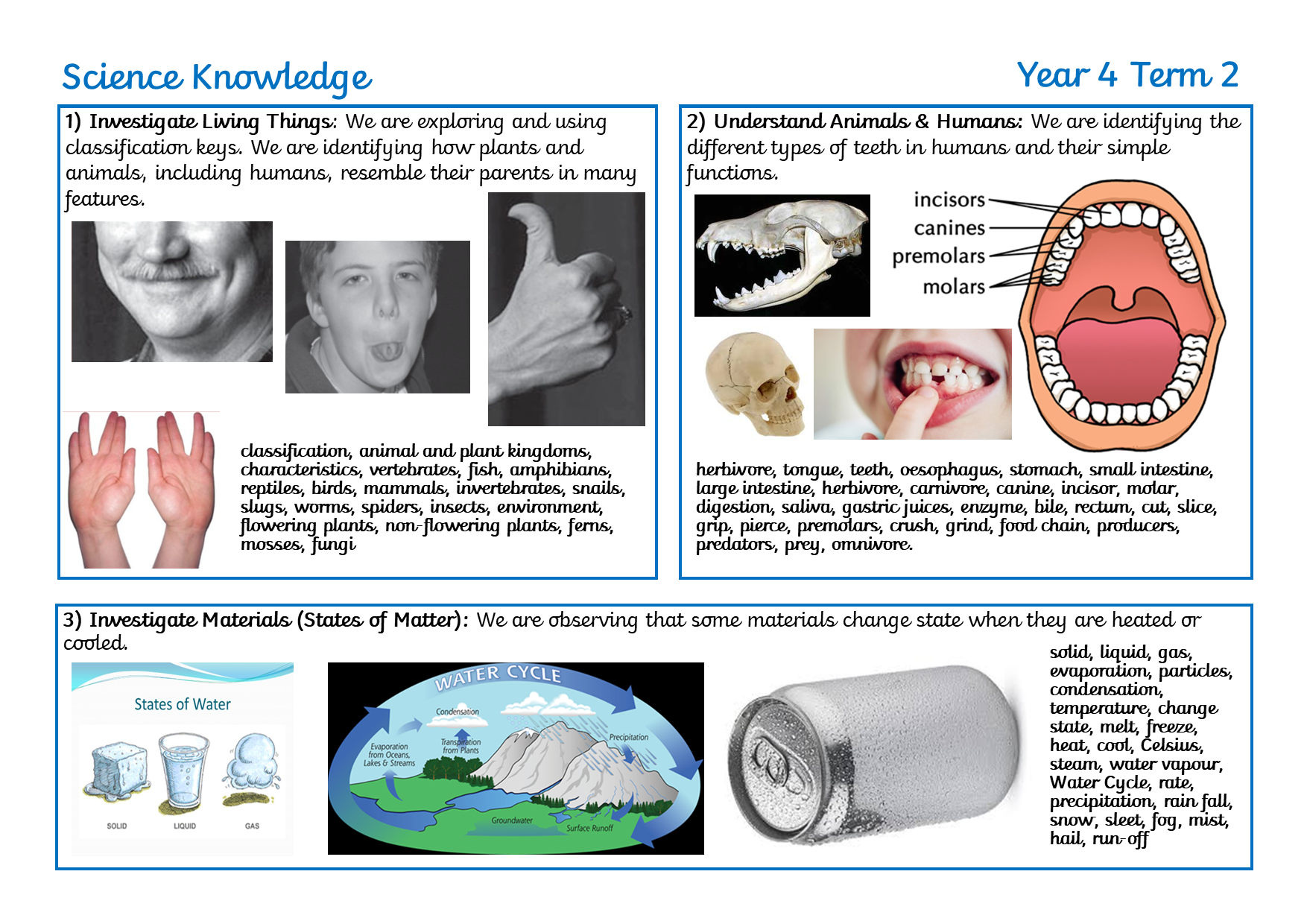 RB Y4 Term 2 Parents' sheet.png