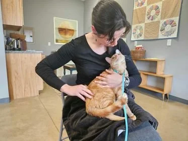 Dr. Jessi Brown adjusting a cat during a chiropractor session at the Cultivate Health practice