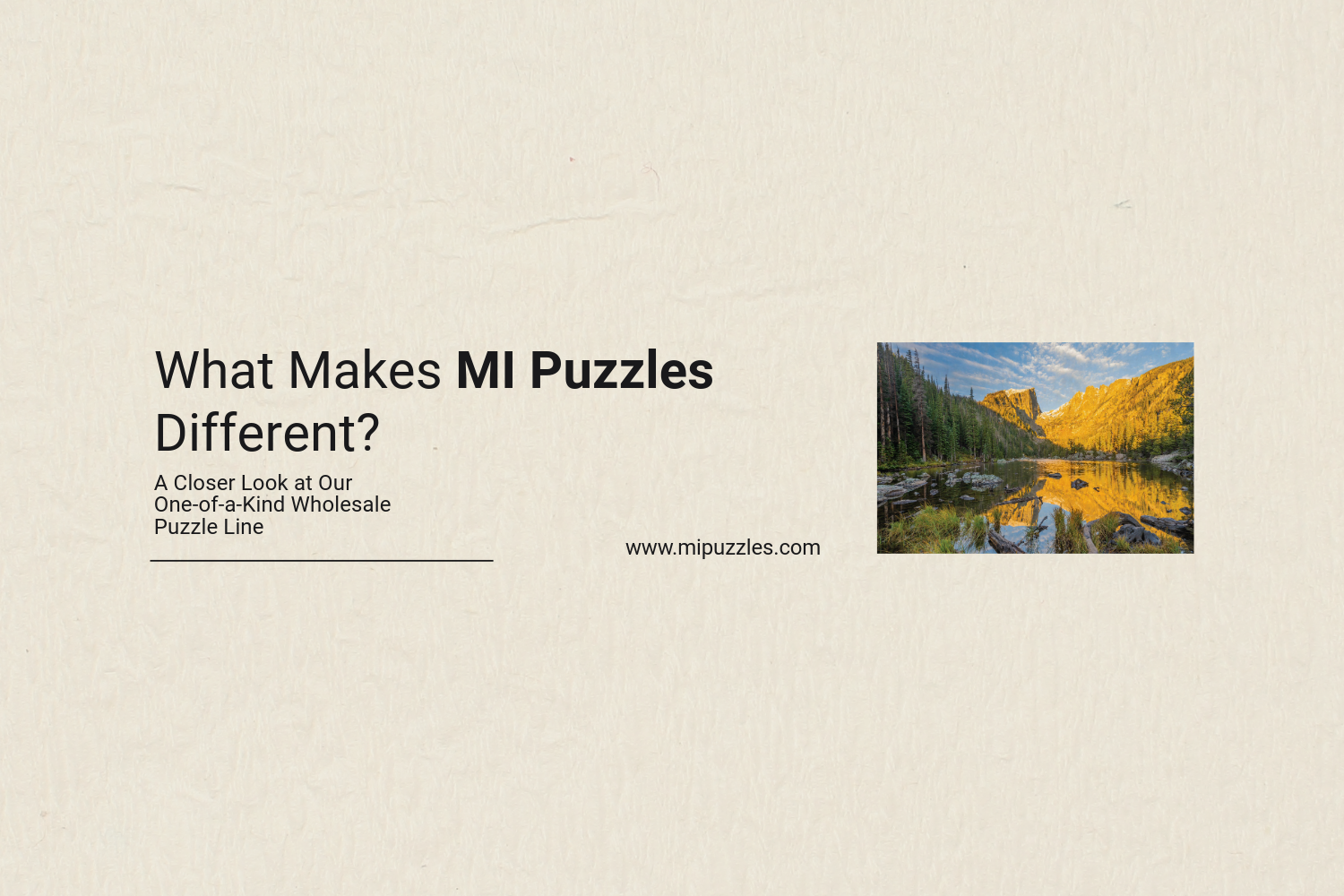 What Makes MI Puzzles Different? A Closer Look at Our One-of-a-Kind Wholesale Puzzle Line 🧩