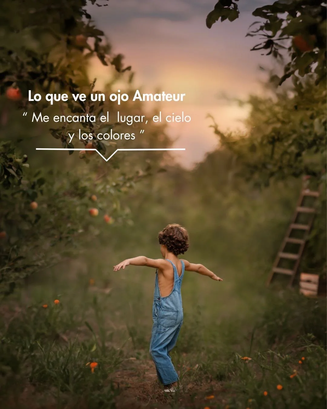 e86b72bc-4824-4938-bb68-18c30aaae4cb.JPG