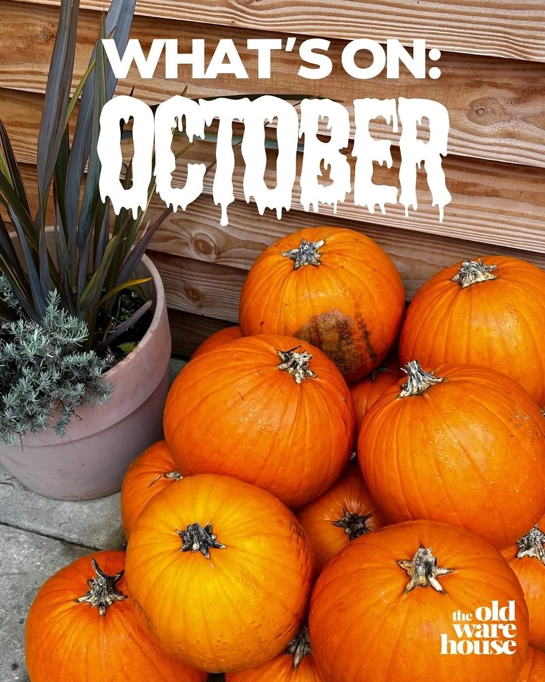 October 🎃
&bull;
&bull;
&bull;
&bull;
#moonhoney #theoldwarehouse #meadindevon #localproduce #kingsbridge #devon #foodie #cheers #instafood #drinklocal #foodphotography #nightlife
#cheflife #coffee #craftbeer #mead #wine
#cocktails #steak #burgers #