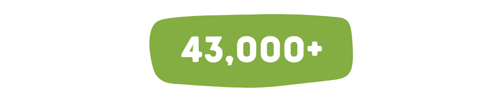 43,000+