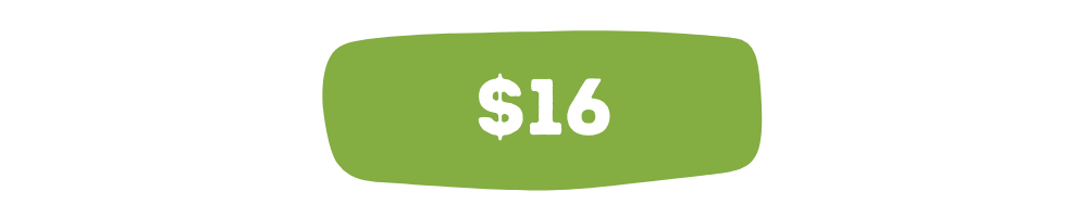 $16