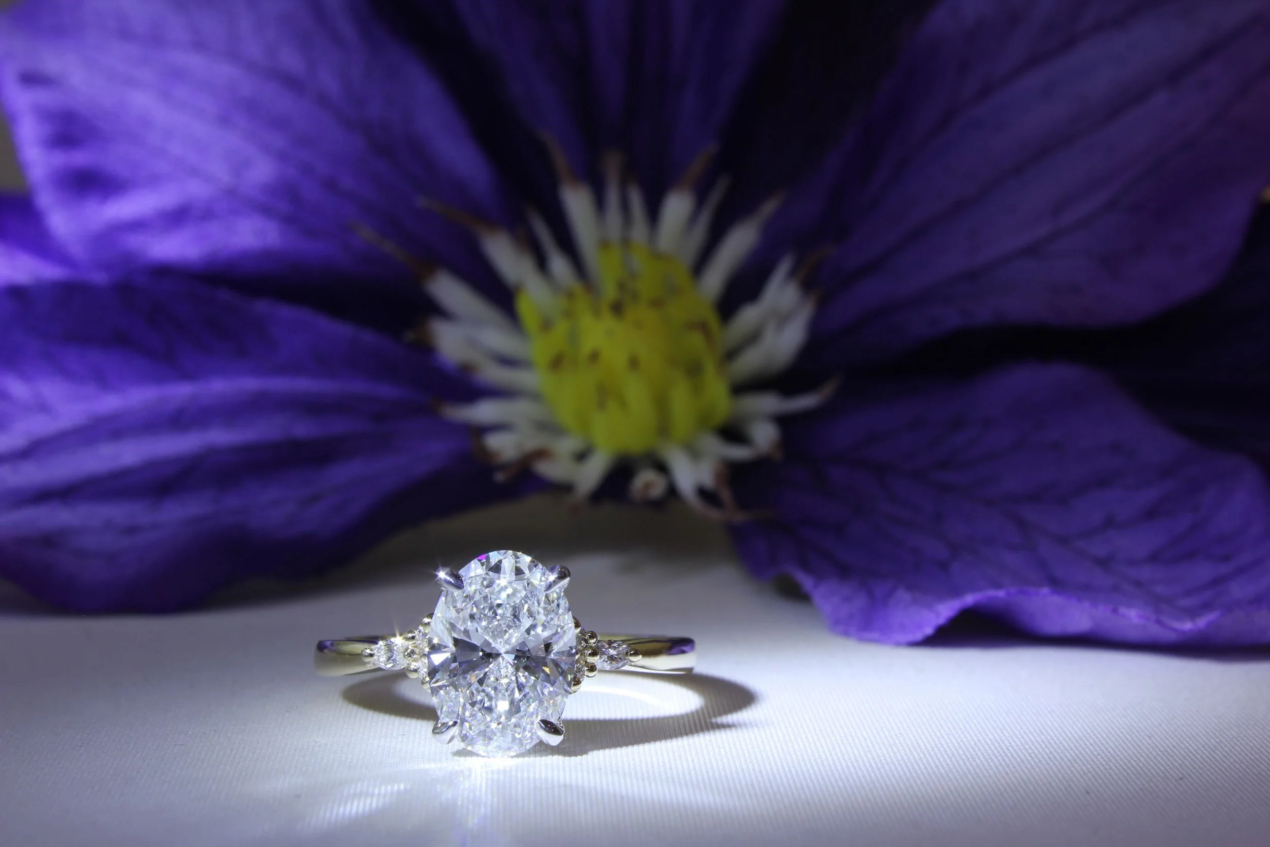 iPhoto:62578.jpg